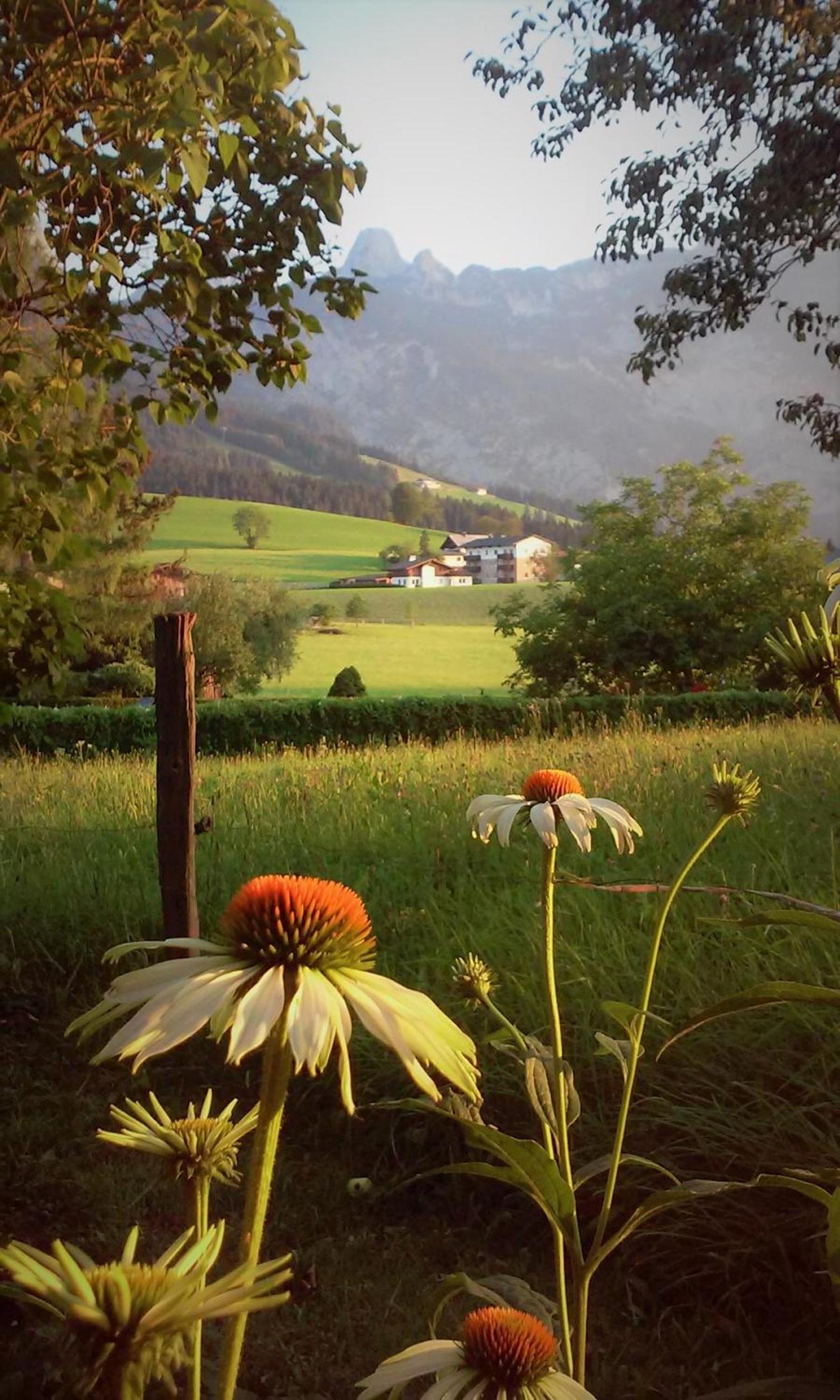 Landhaus Hirterhütte