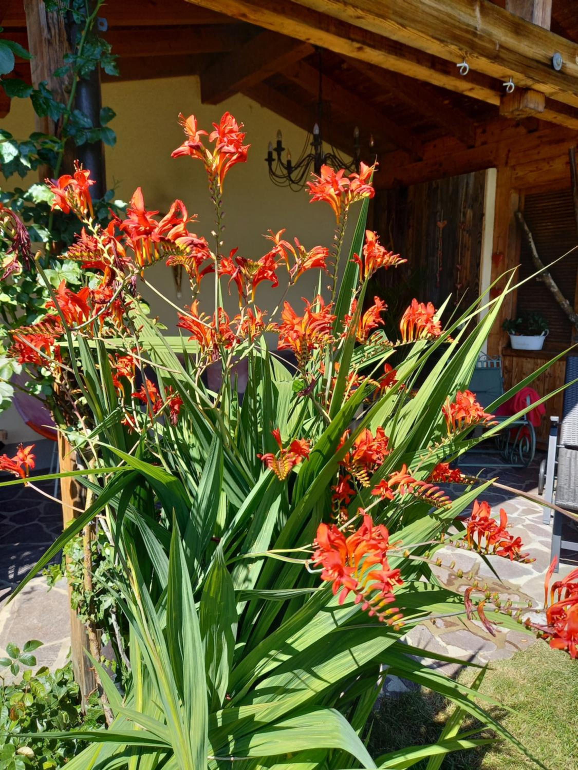 Aparthaus am Walde & Appartement Sonnenseite