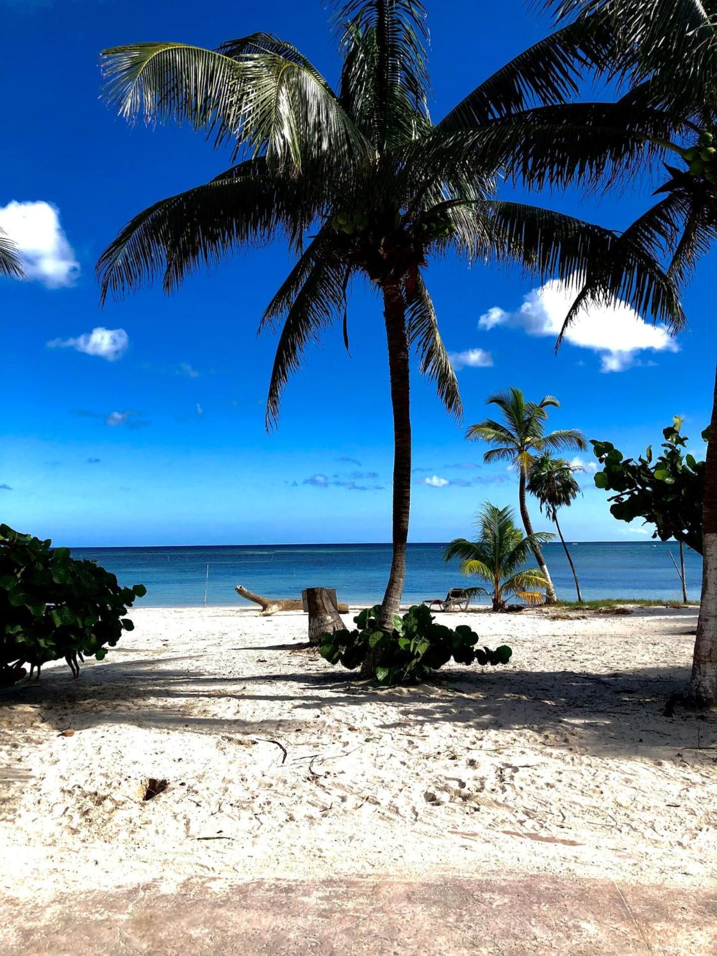 Caribe Dream Private Beach
