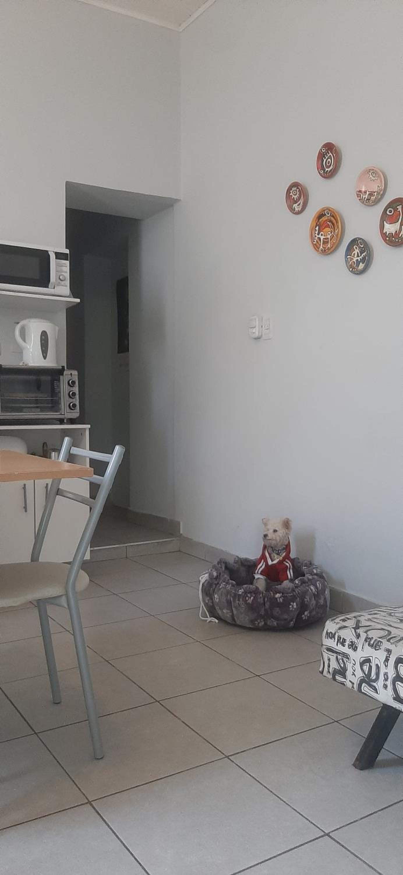 Departamento céntrico para 3 +1