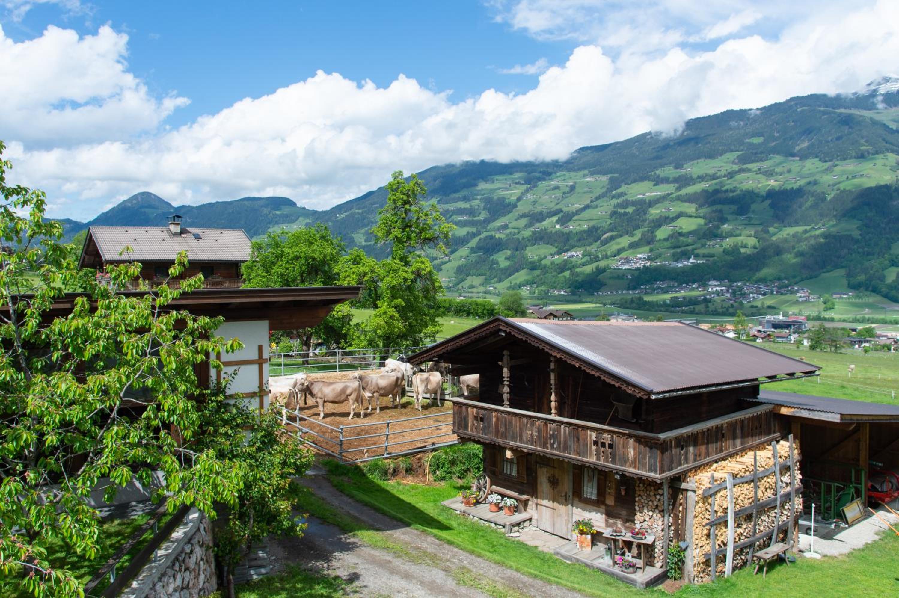 Riemenerhof