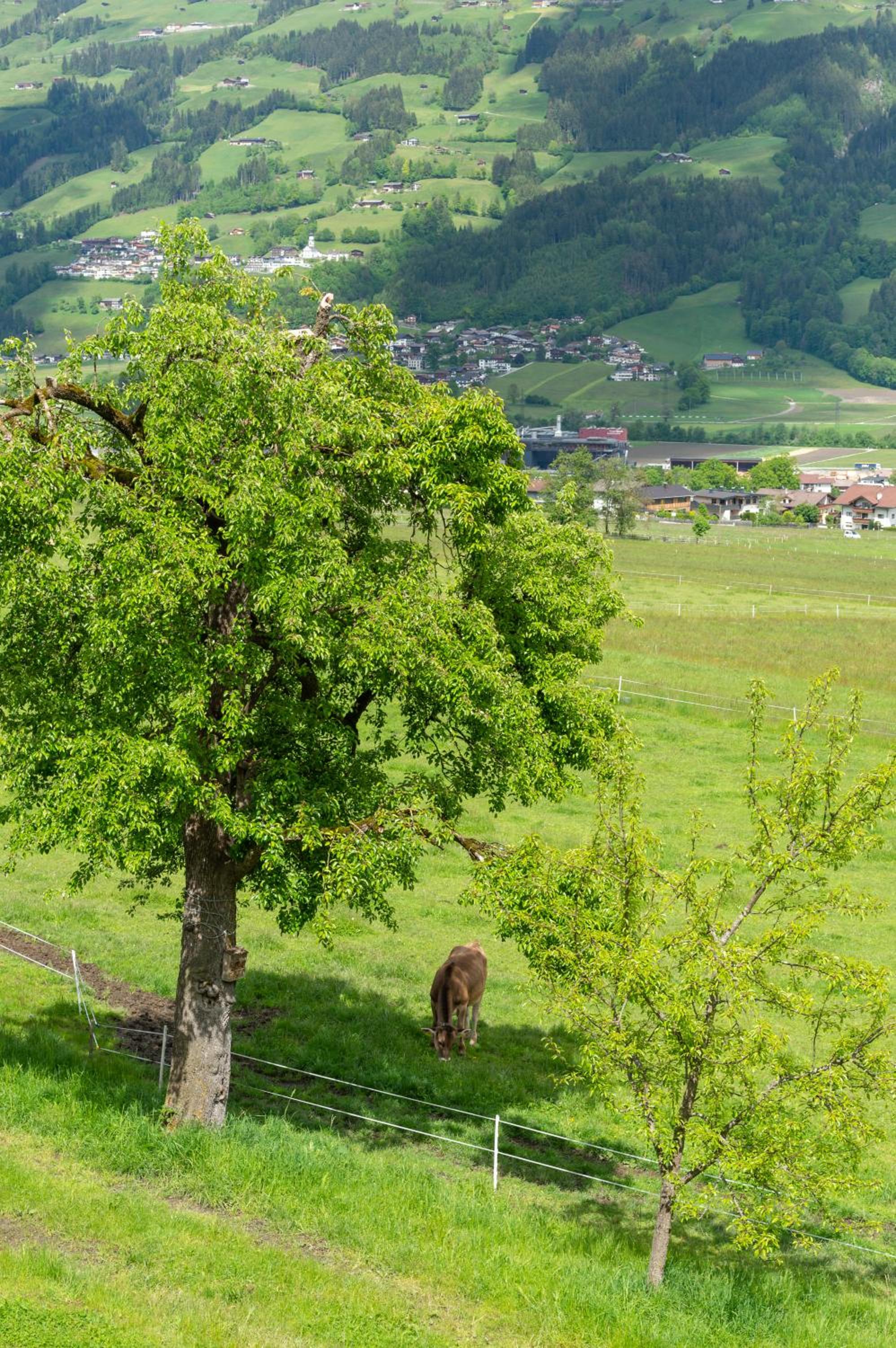 Riemenerhof
