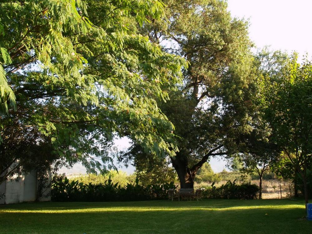 Hotel Cavo Mytikas - Property Image 4