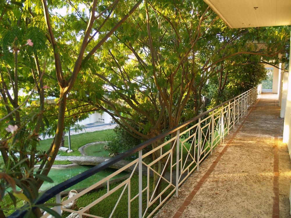 Hotel Cavo Mytikas - Property Image 9