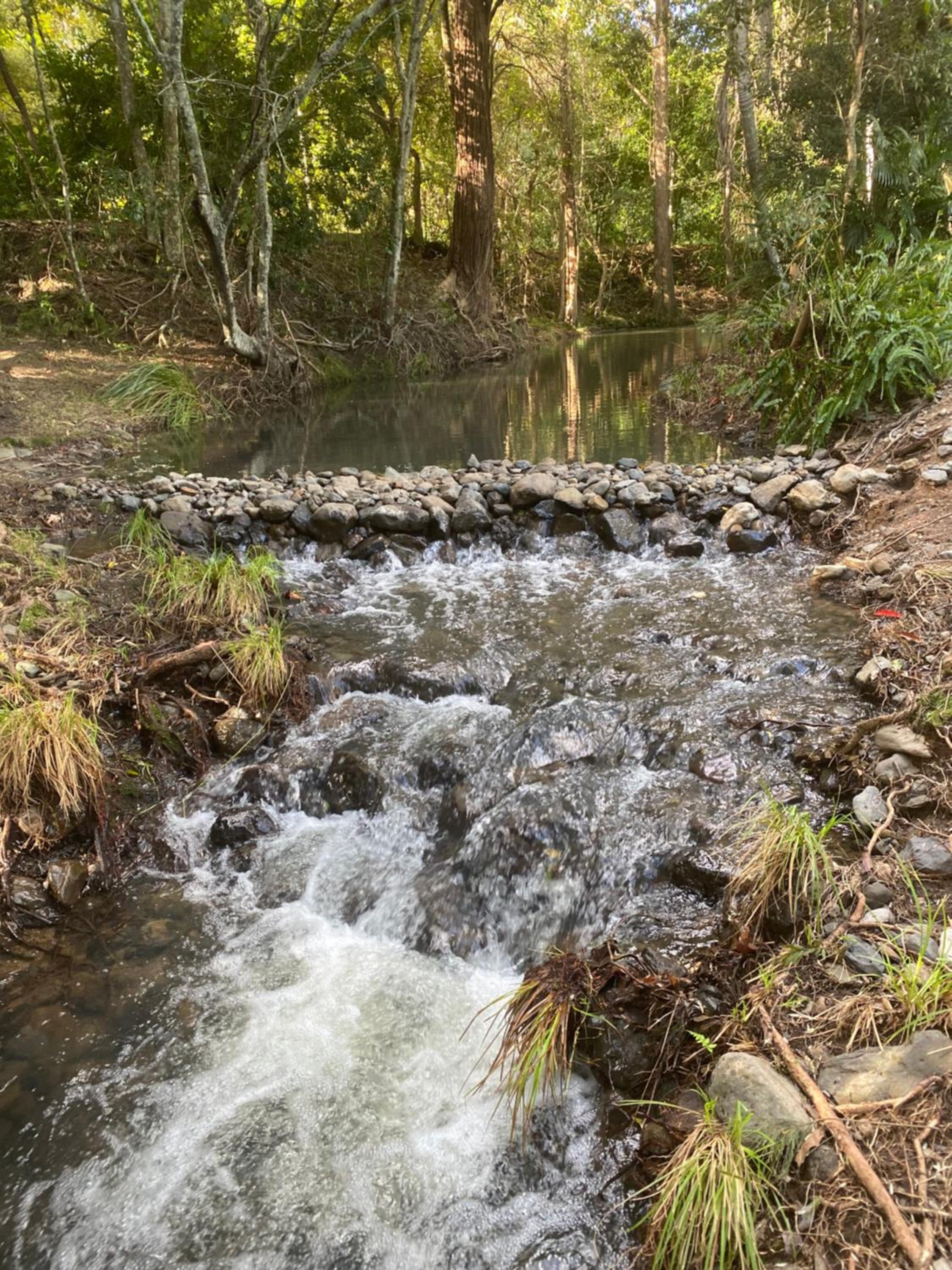 other