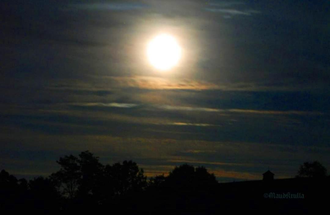 Villa Maud - Property Image 45