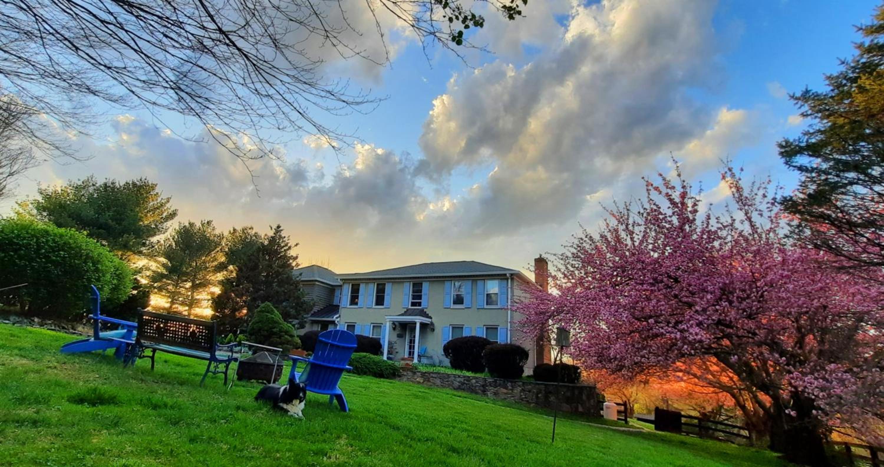 Villa Maud - Property Image 44