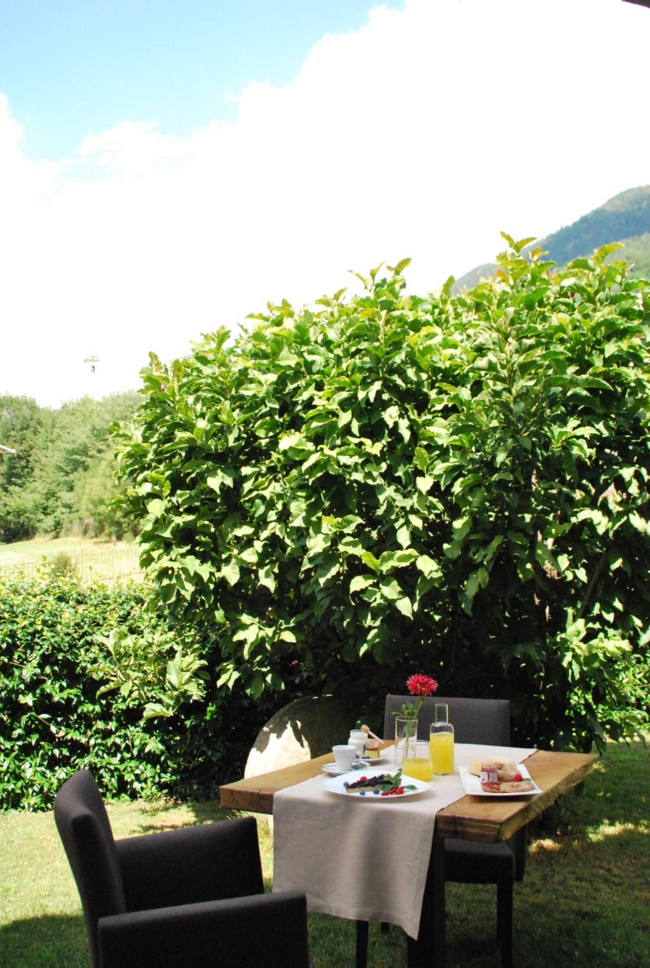 Nebbiolo Wine B&B - Winery & Vineyard Valtellina view 5