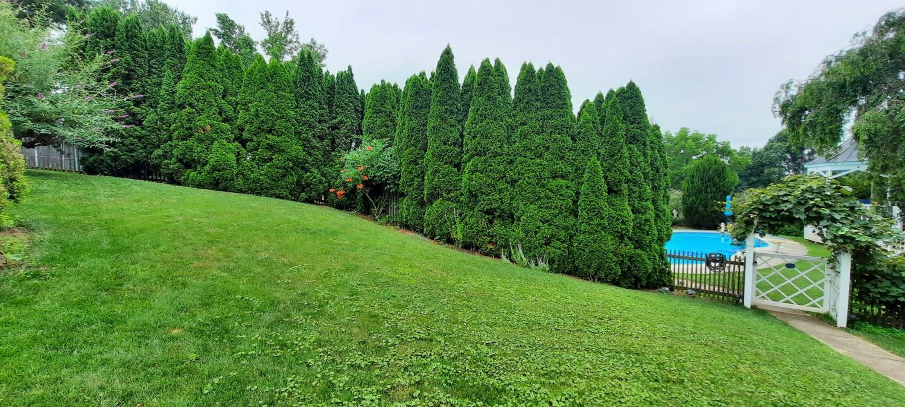 Villa Maud - Property Image 57