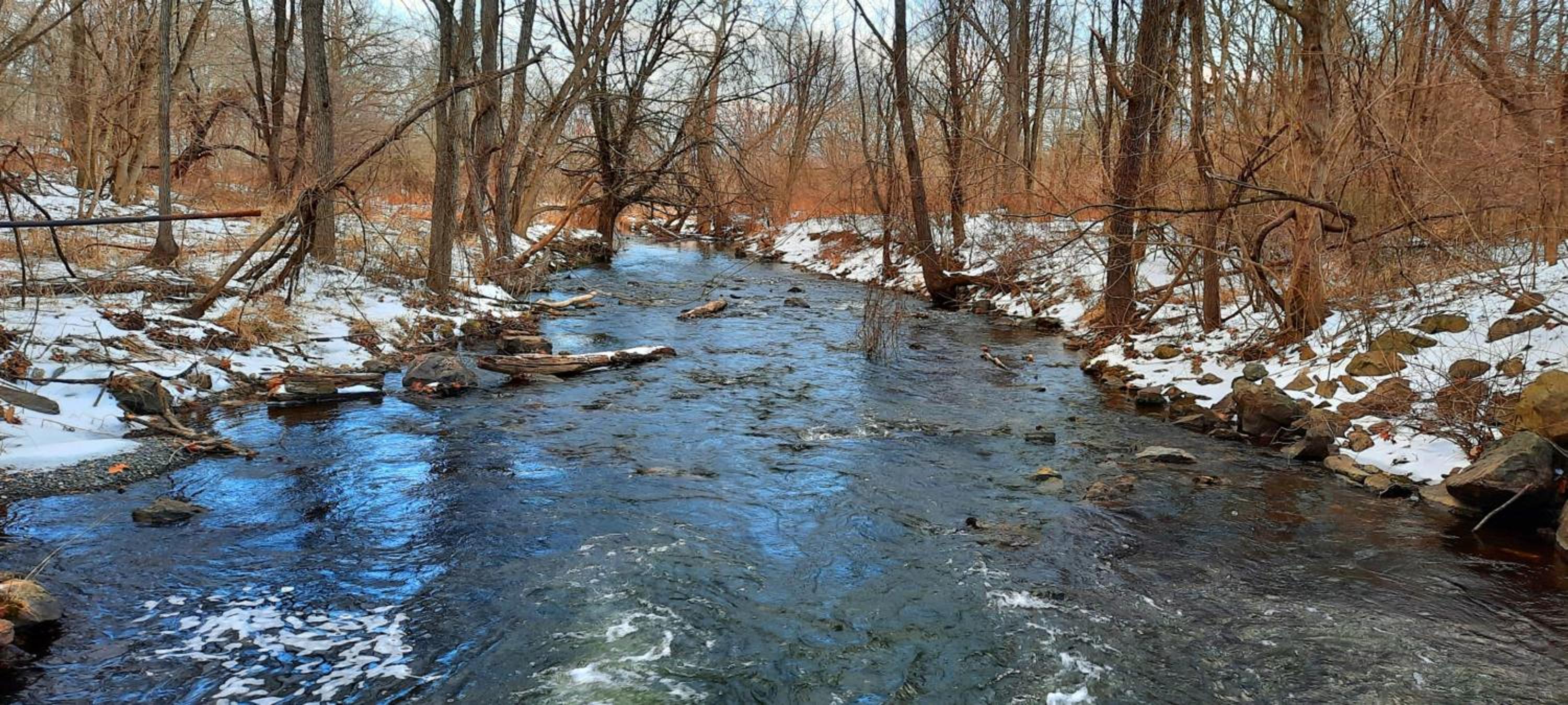 Villa Maud - Property Image 55