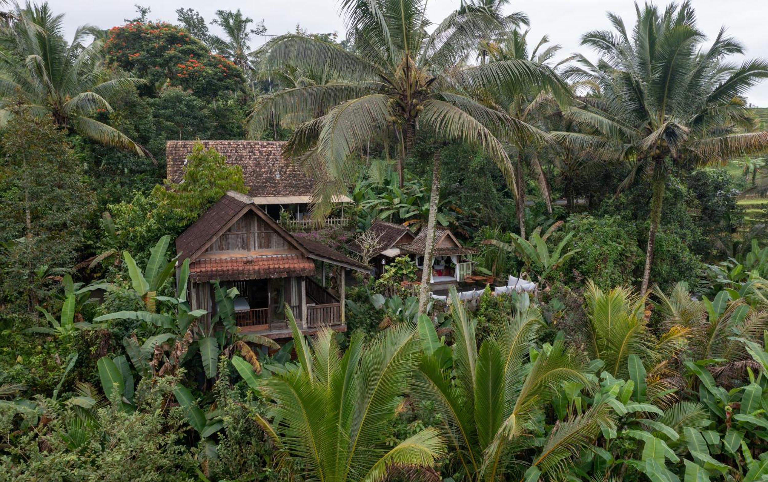 Nienté Bali view 5