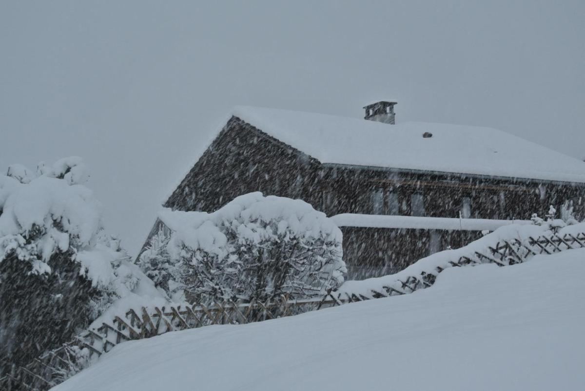 Chalet Tannegg