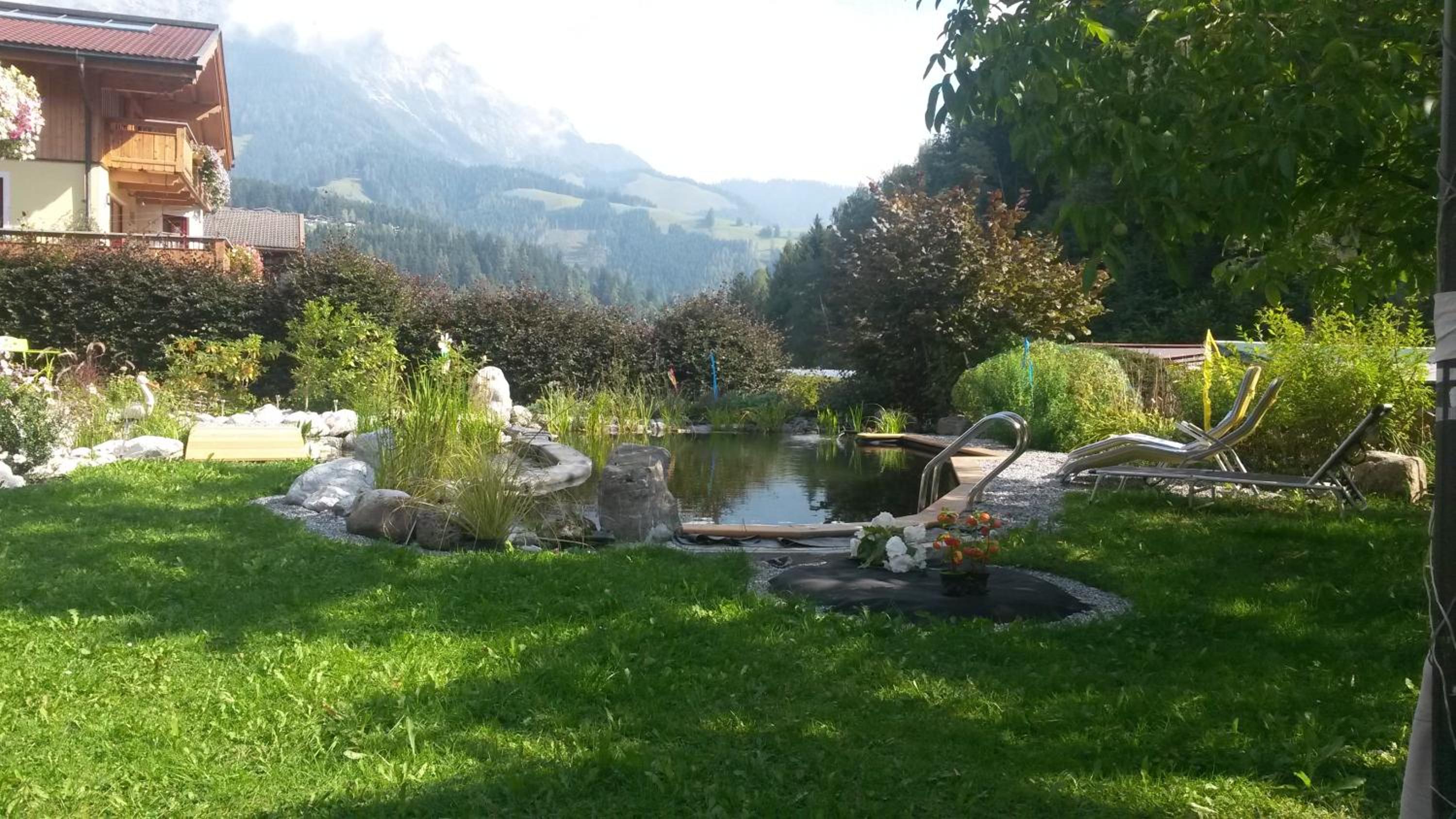 Photo 15
