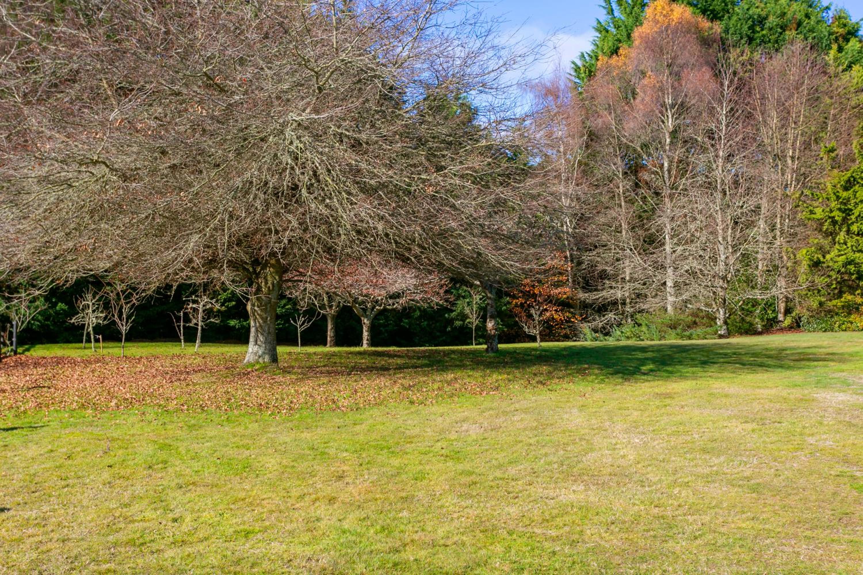 Lupin Lodge Bed & Breakfast view 2