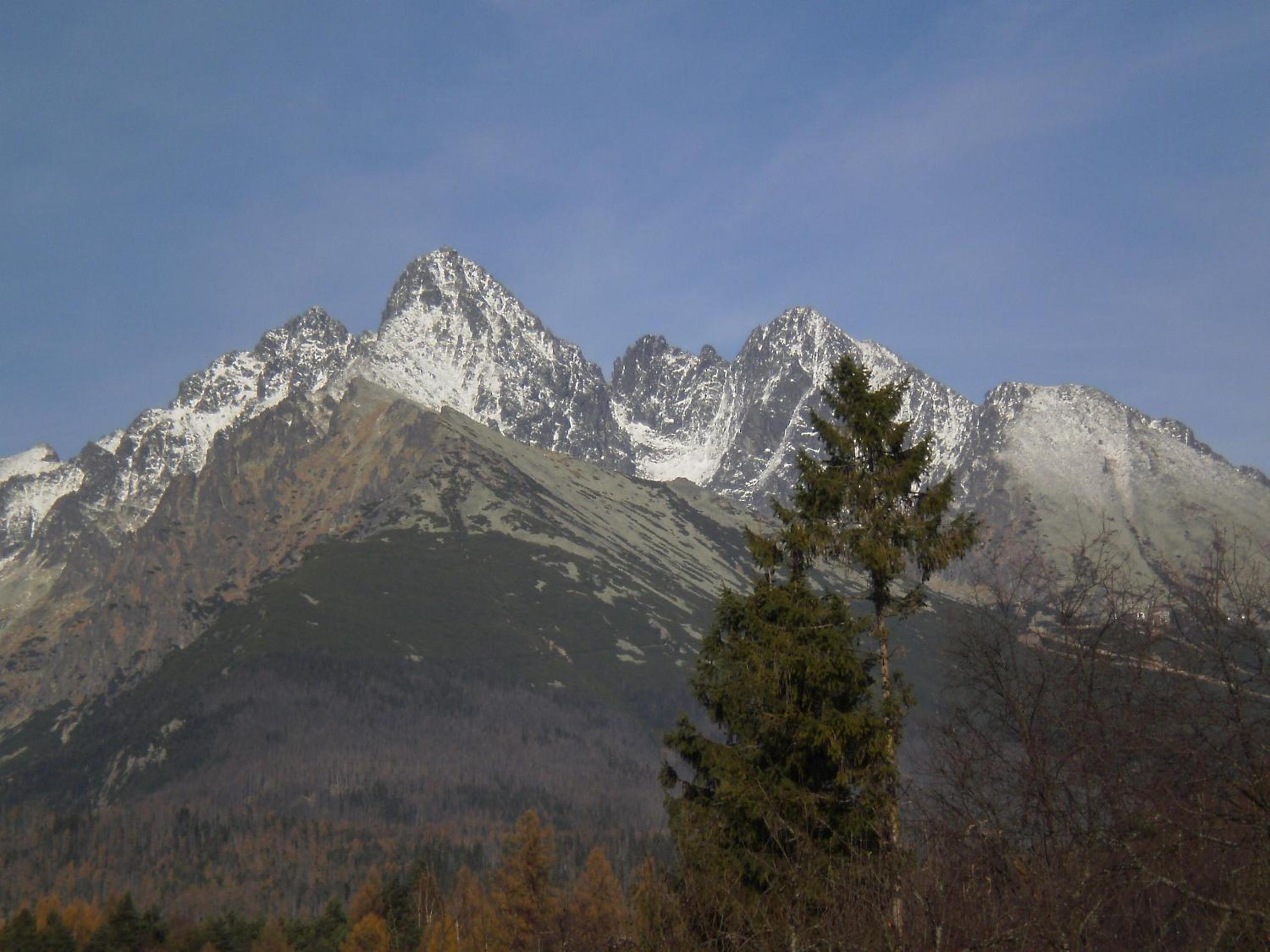 Photo 32
