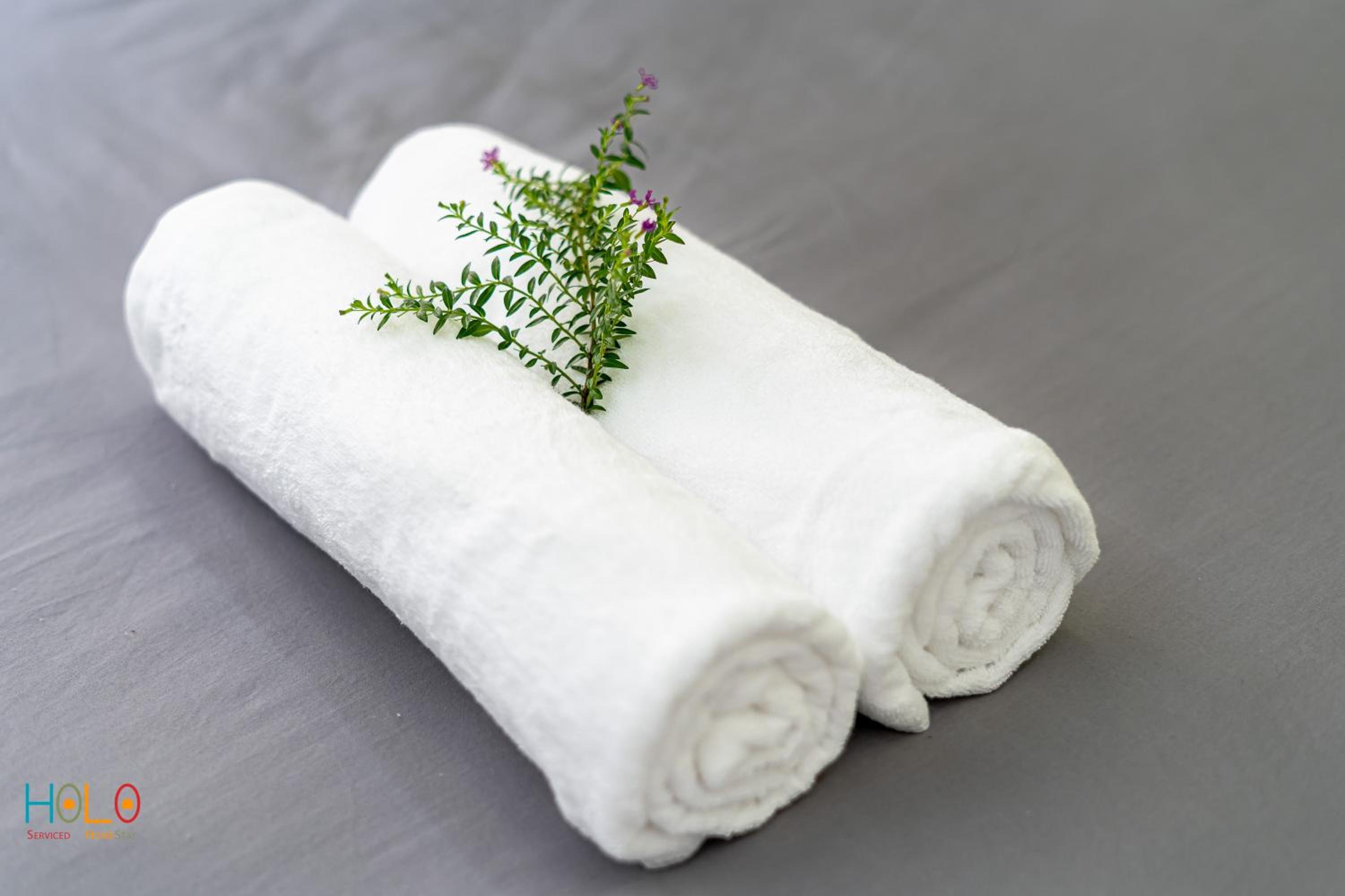 HoLo Central Saigon - Serviced HomeStay