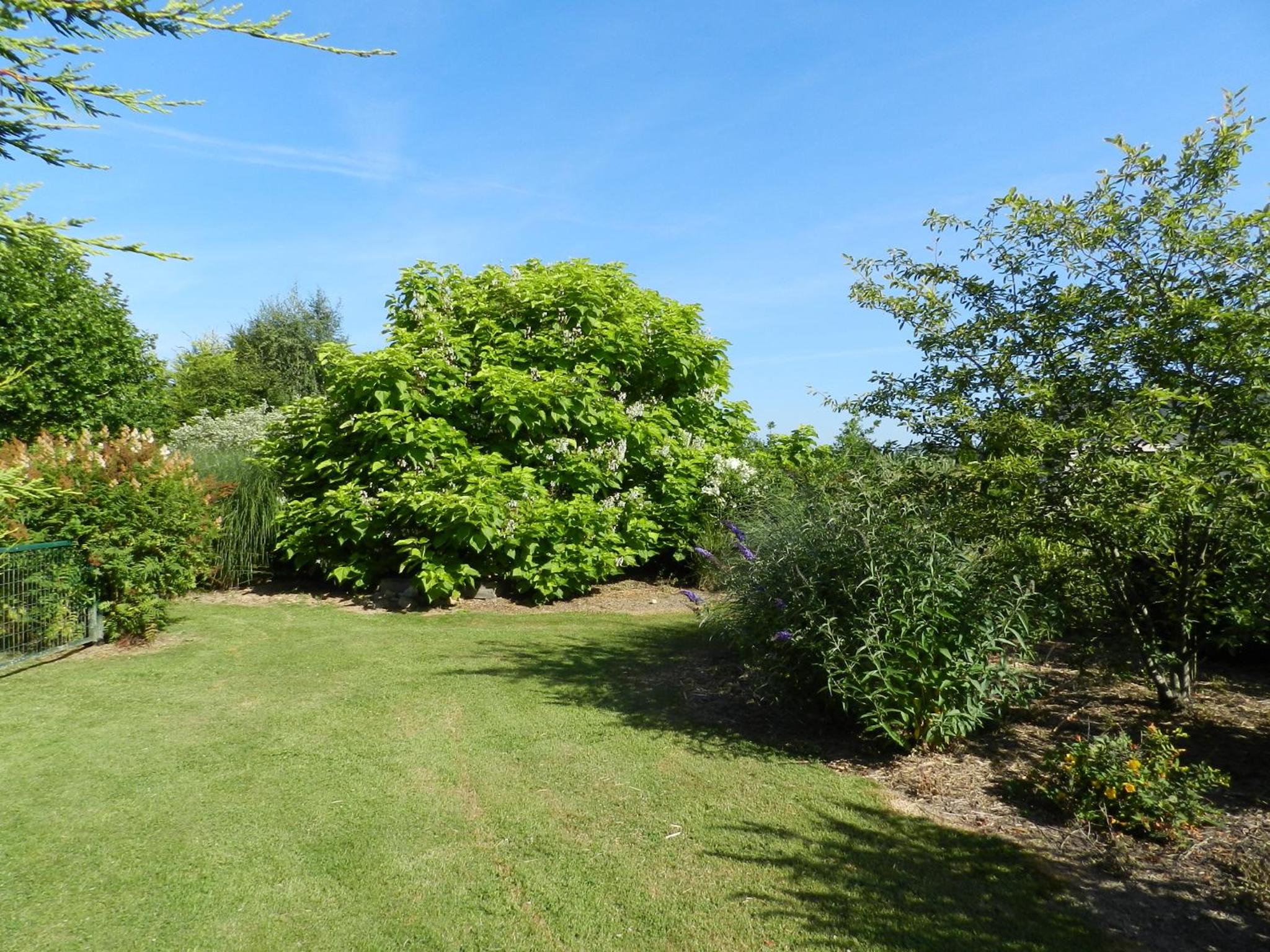 Photo 44