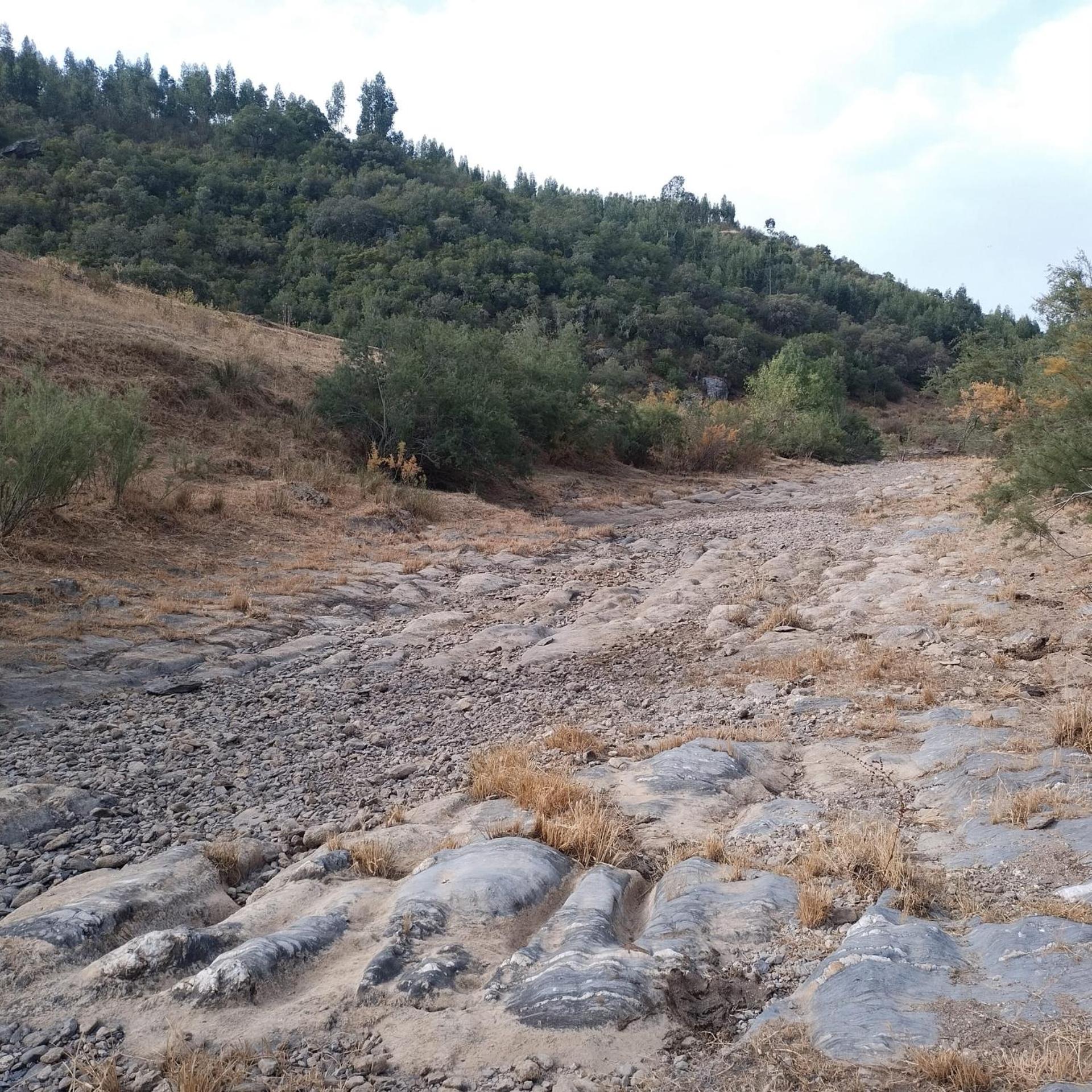 Photo 47