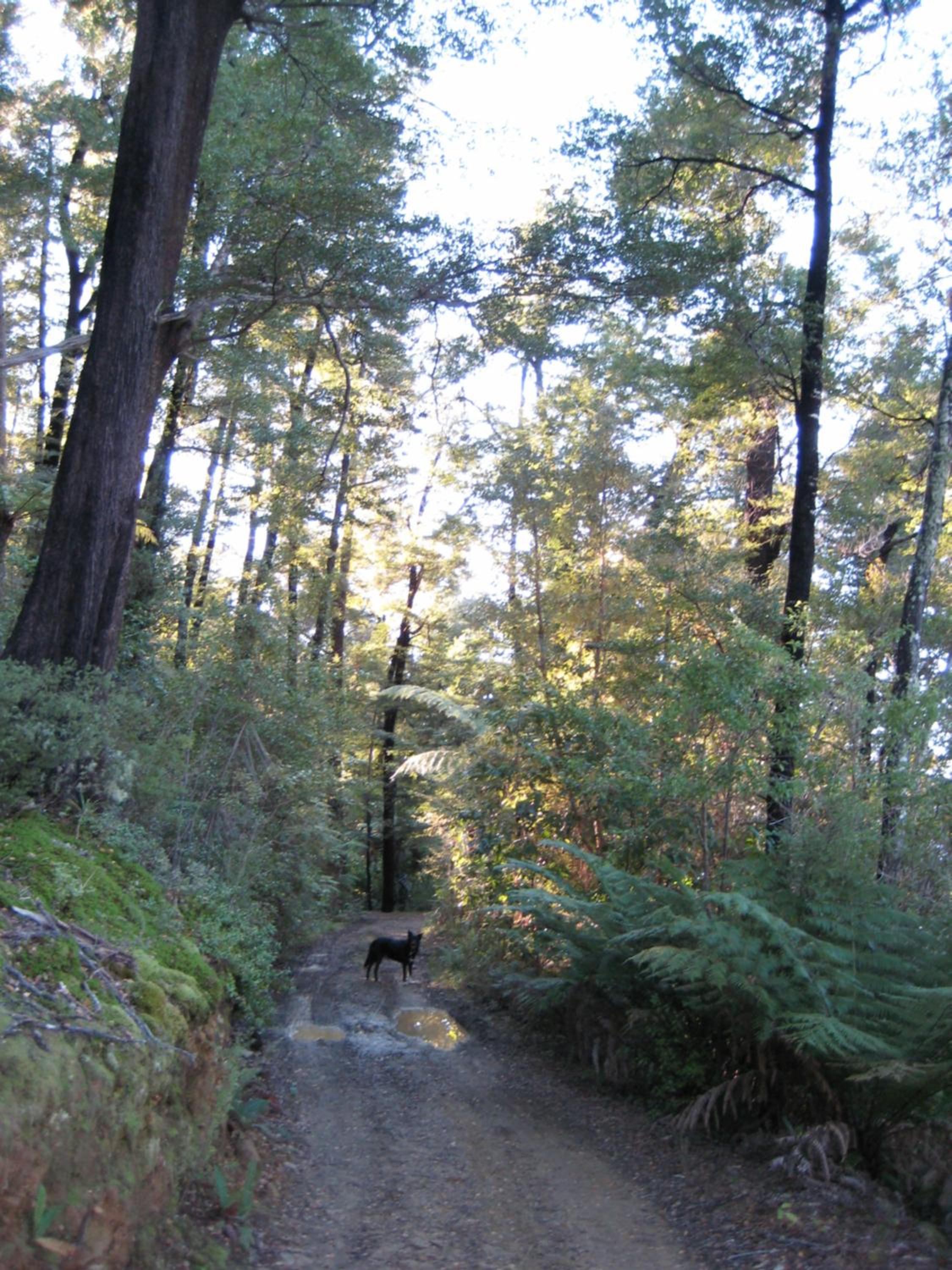 Photo 19