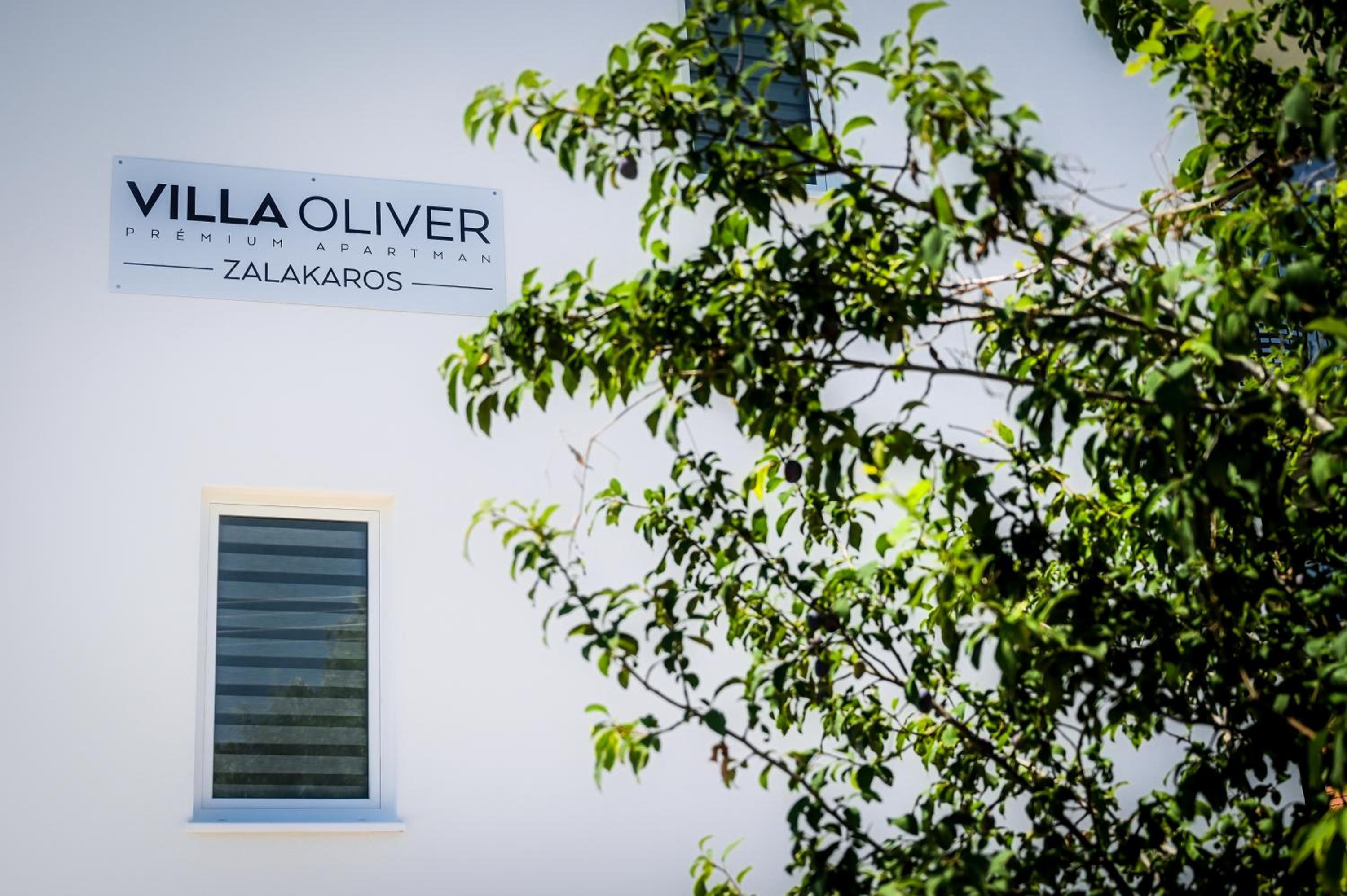Villa Oliver Zalakaros view 2