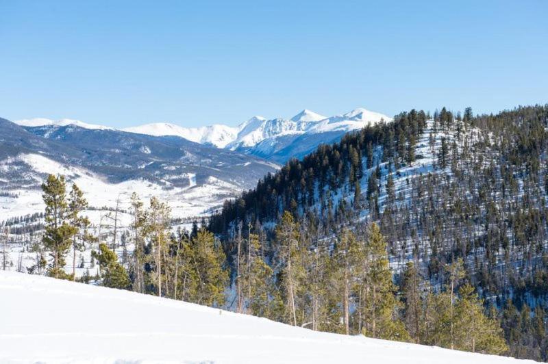 1 Bedroom Premier Mountain Condo In River Run Village Just A Short Walk To Shopping, Dining, And Skiing view 5