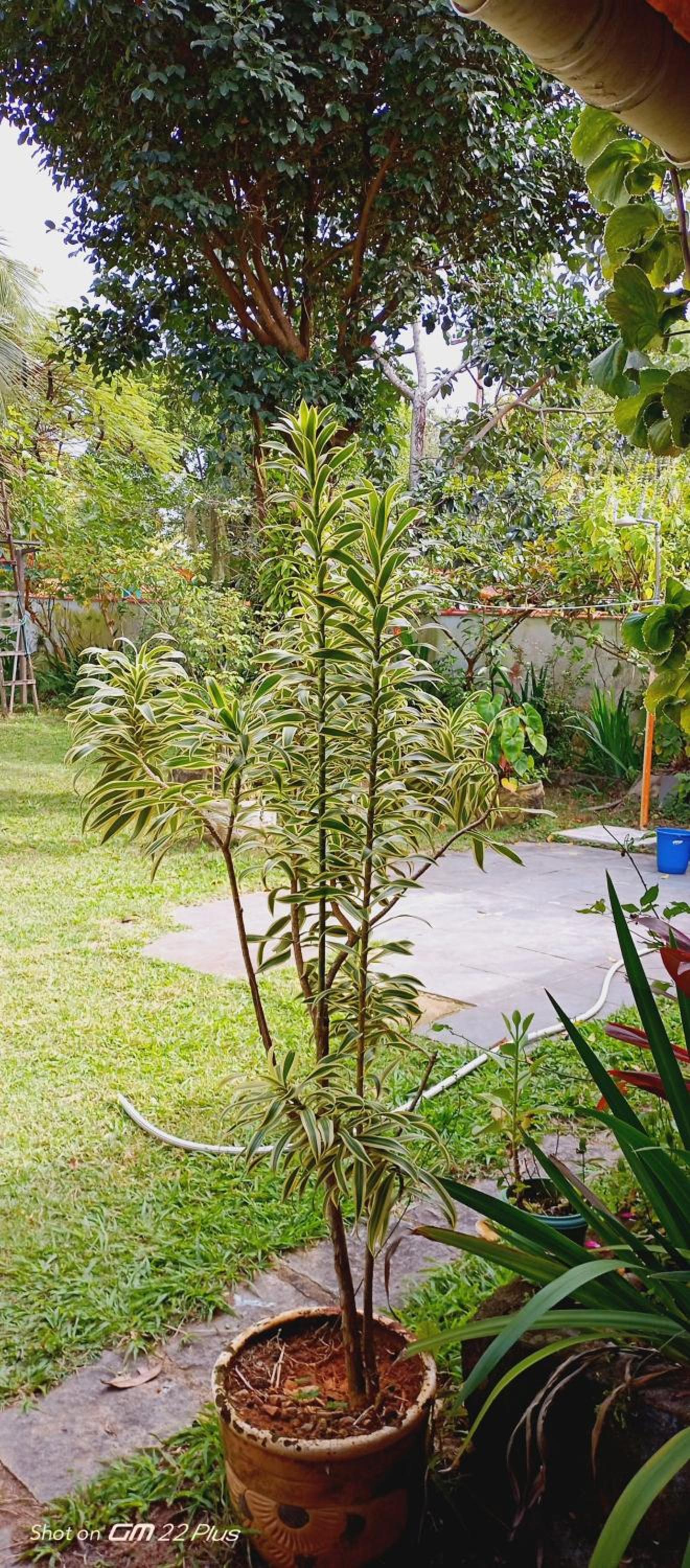 Casa de Praia em Jaconé - Centro de Jacone - Comércios e Mercado!