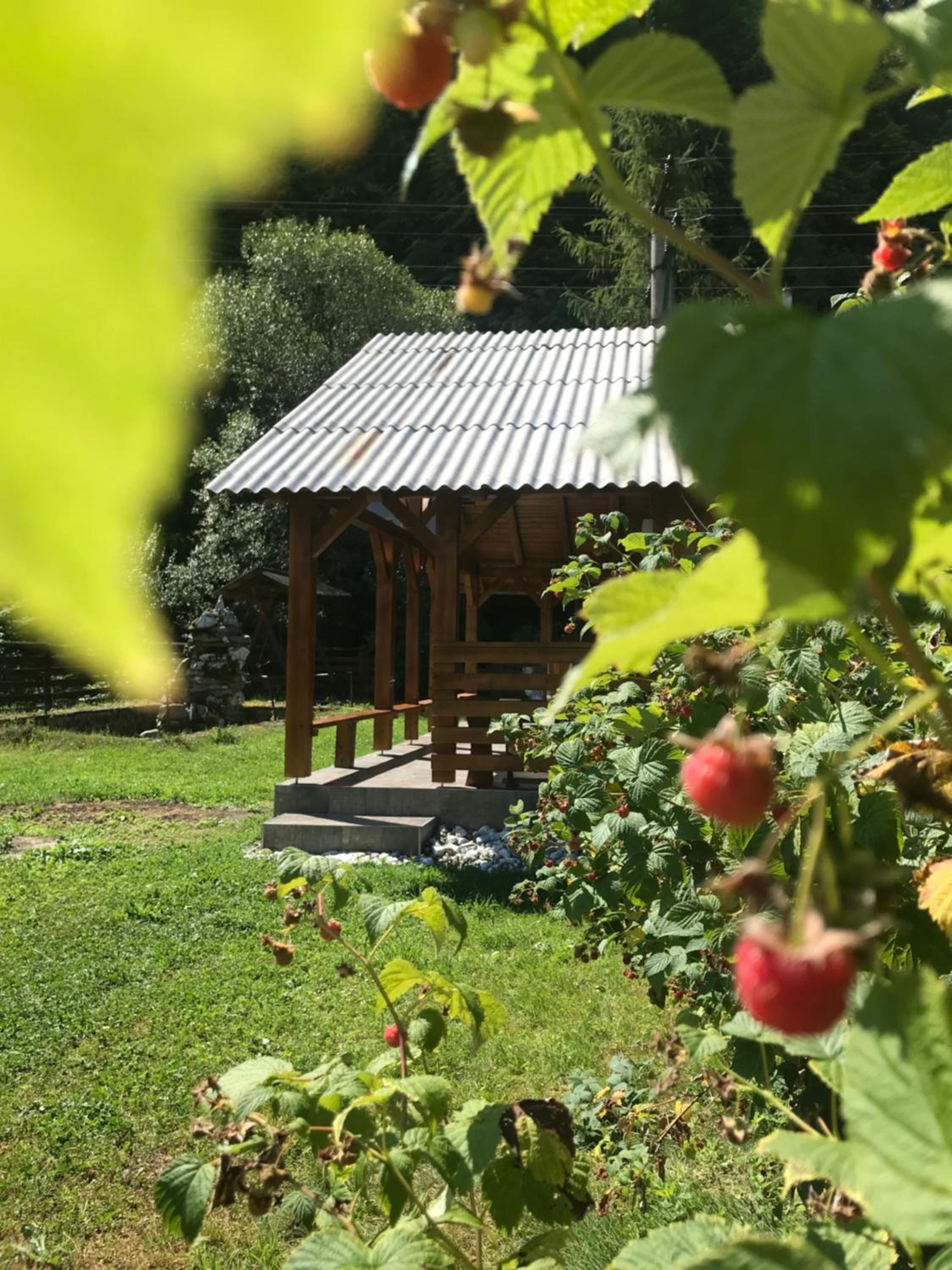 Pensiunea Grapini