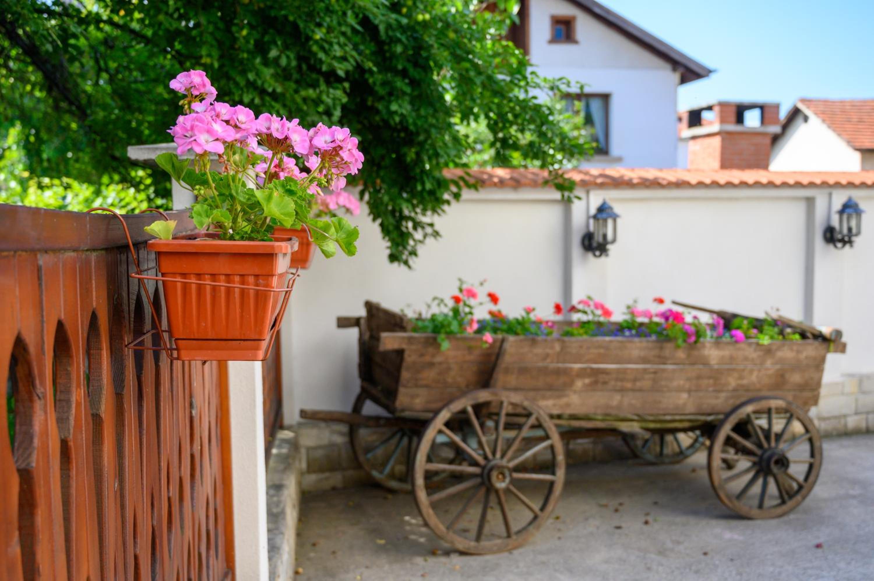 Guest house Legeto