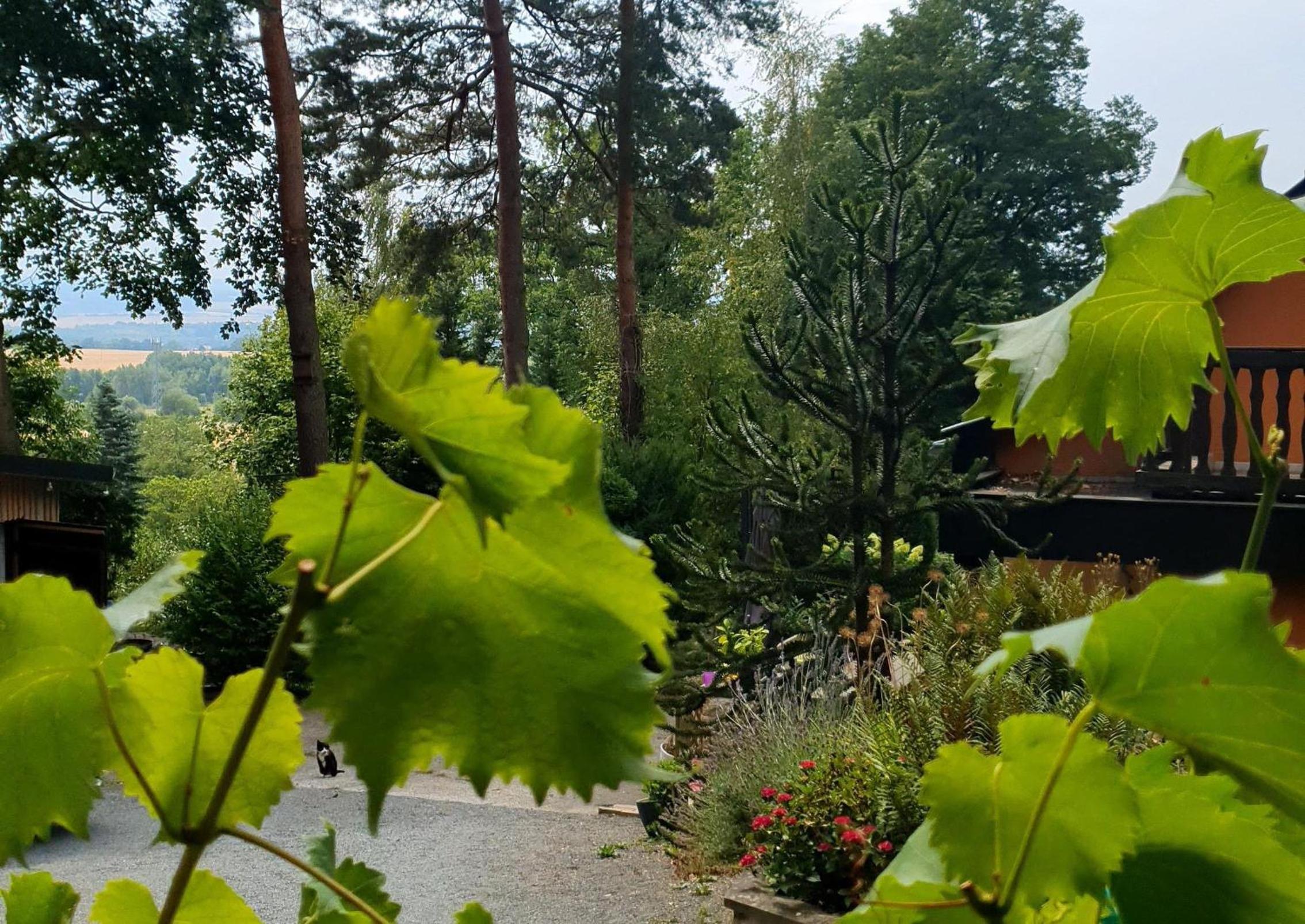 Ferienhaus FreiTraum