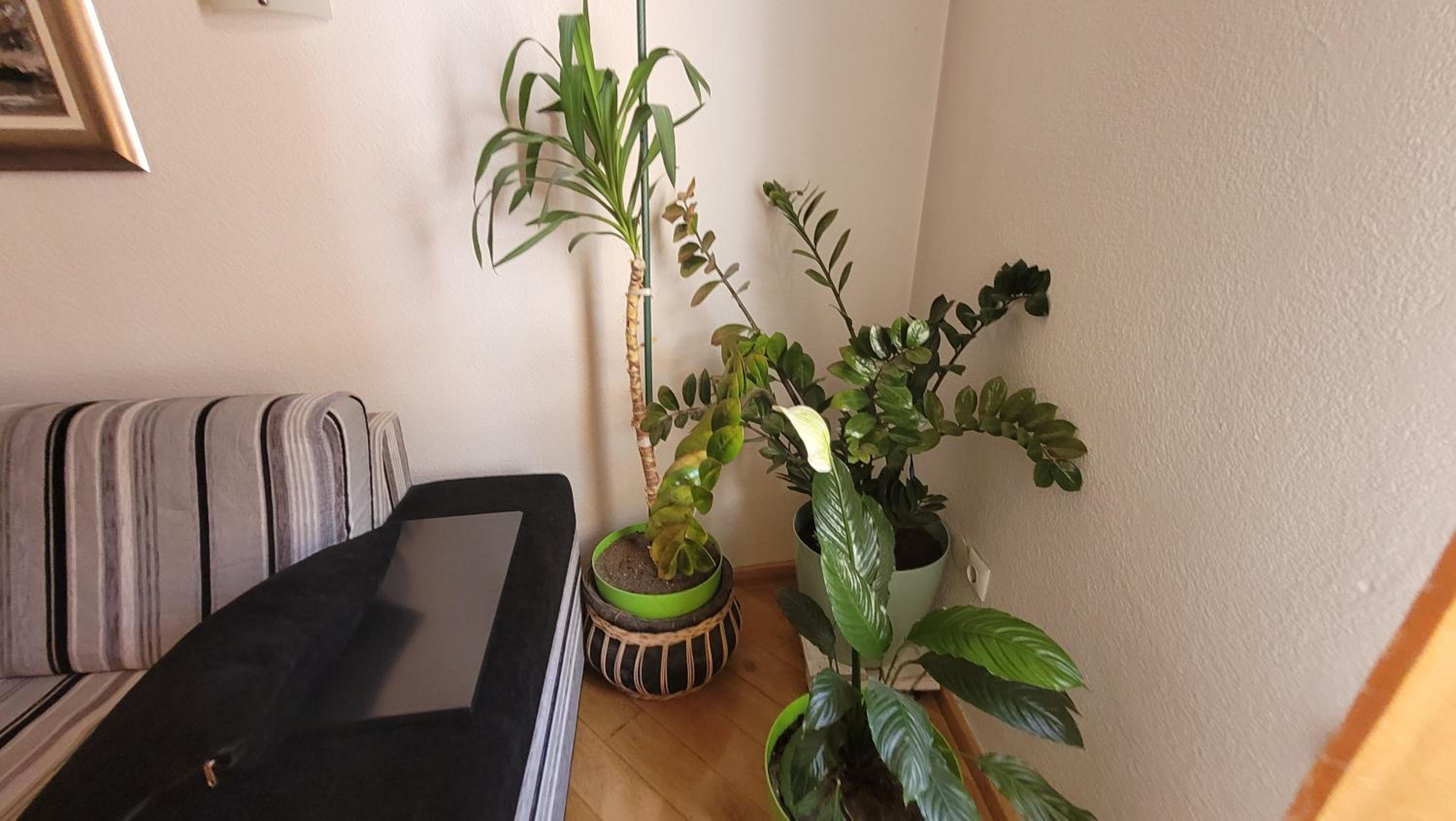 Apartmant Ayna