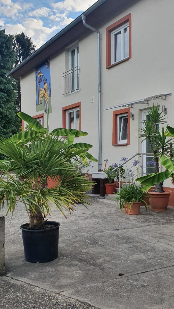 Ferienwohnung "Zum alten Kuhstall" view 4