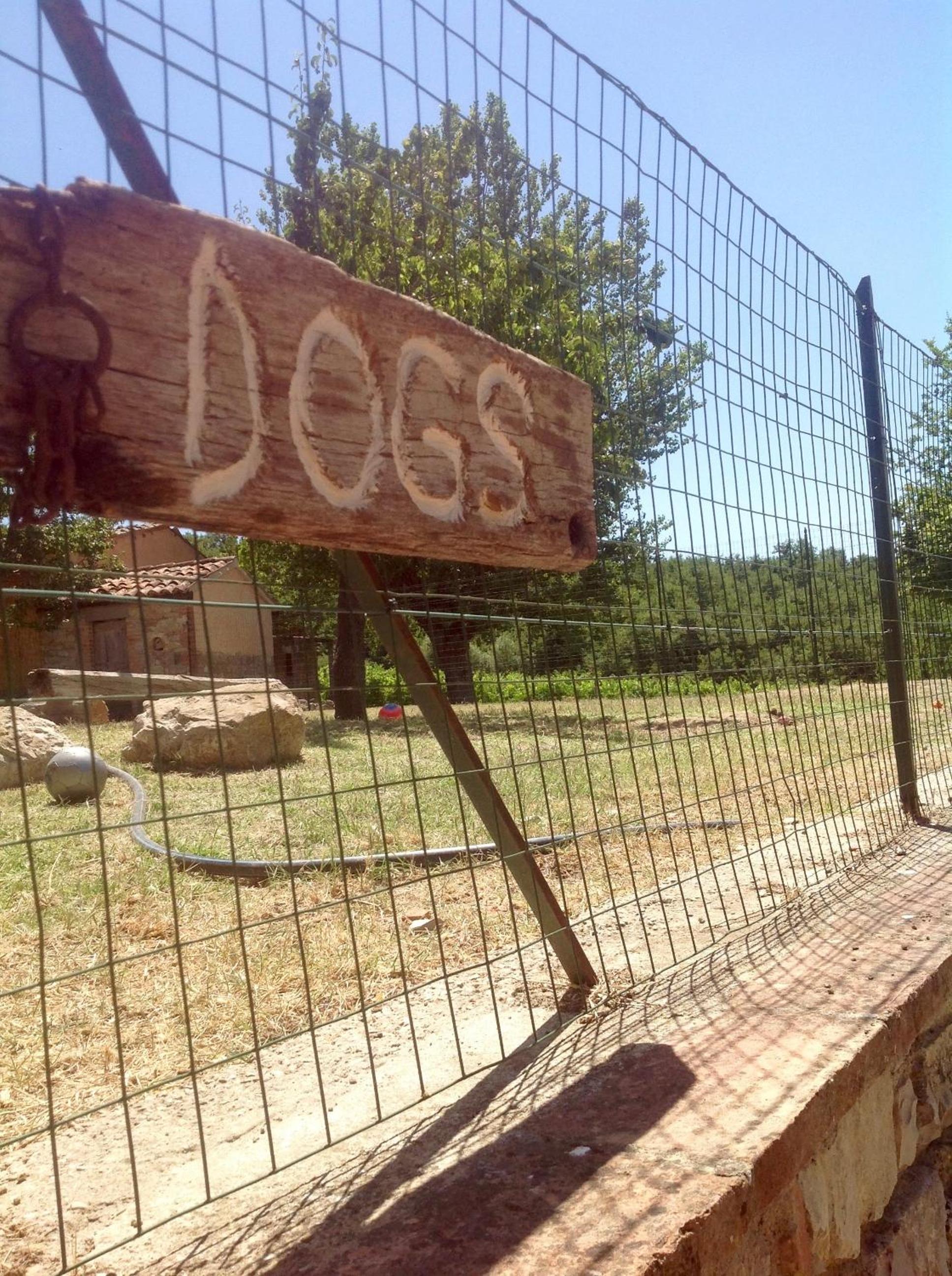 Photo 43