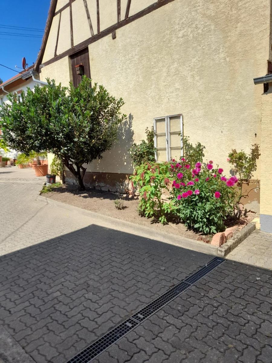 Photo 22