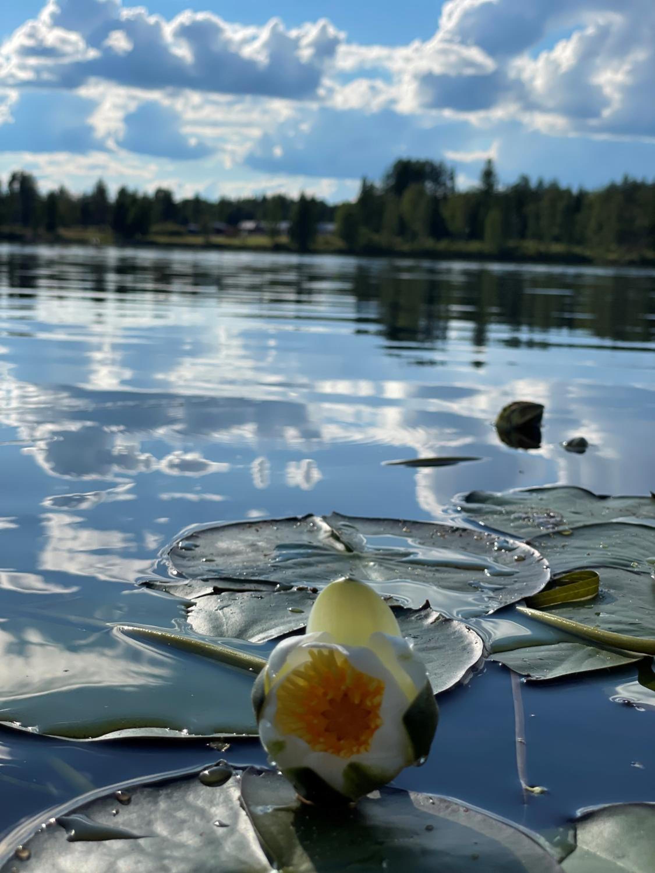Photo 23