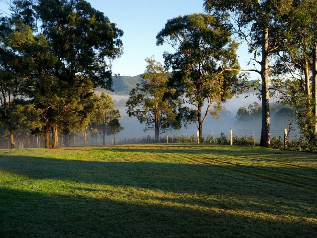Elfin Hill Vineyard Accommodation