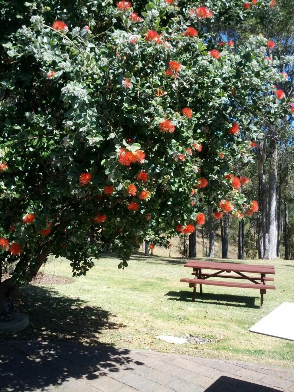 Elfin Hill Vineyard Accommodation