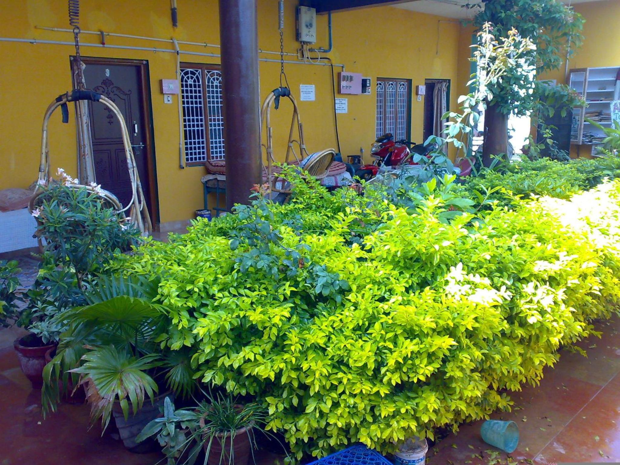 Photo 8