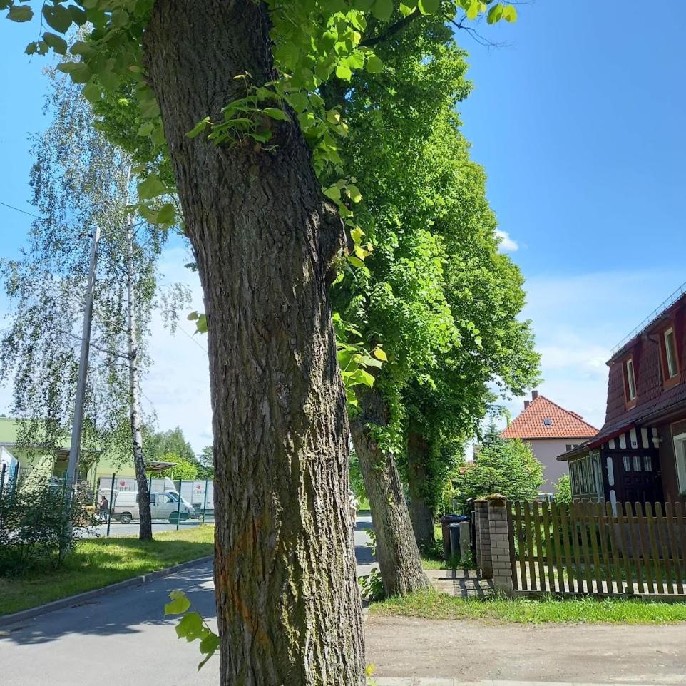 Photo 29