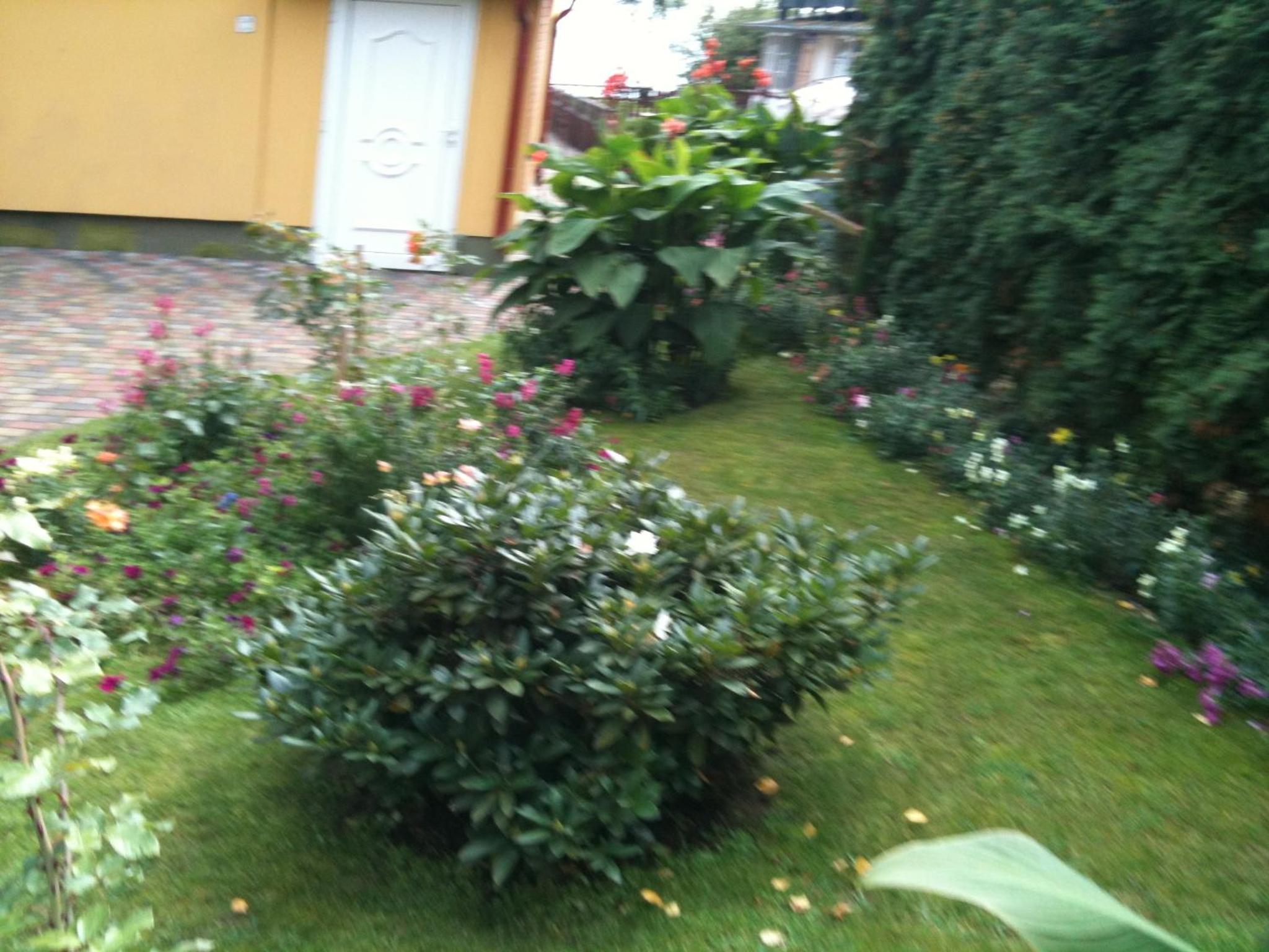 Photo 34