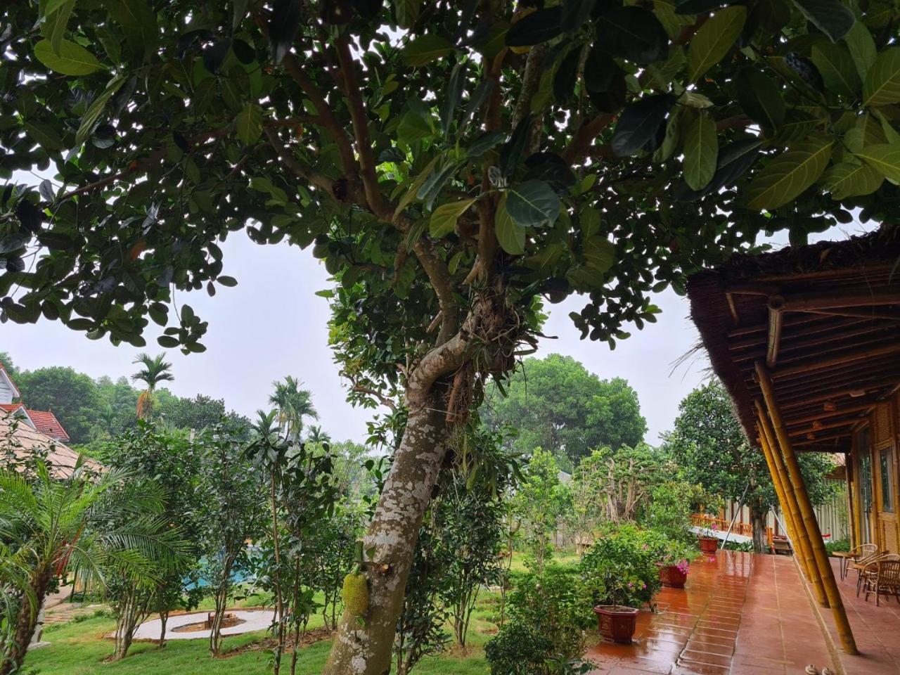 ByVe Garden