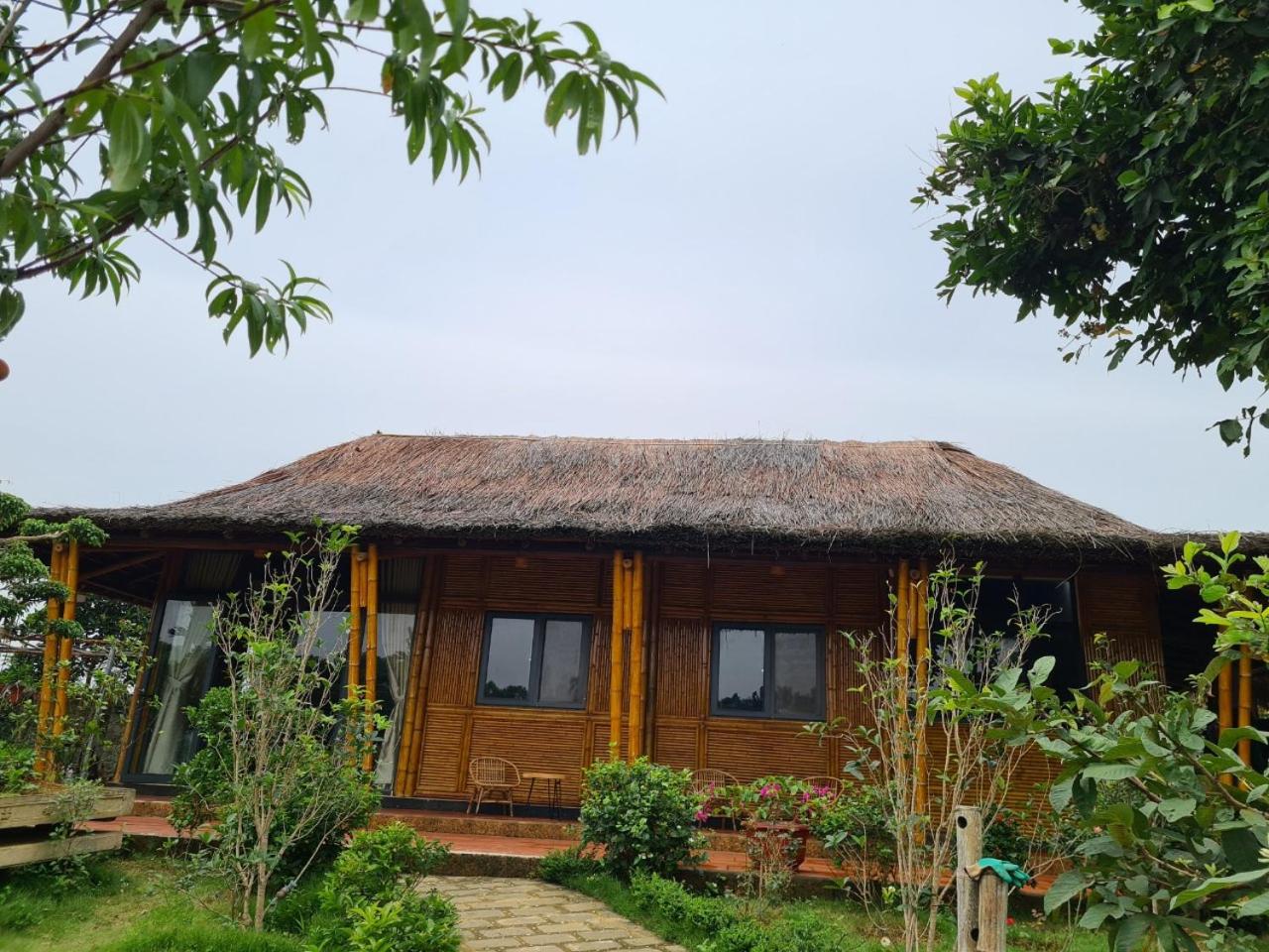 ByVe Garden