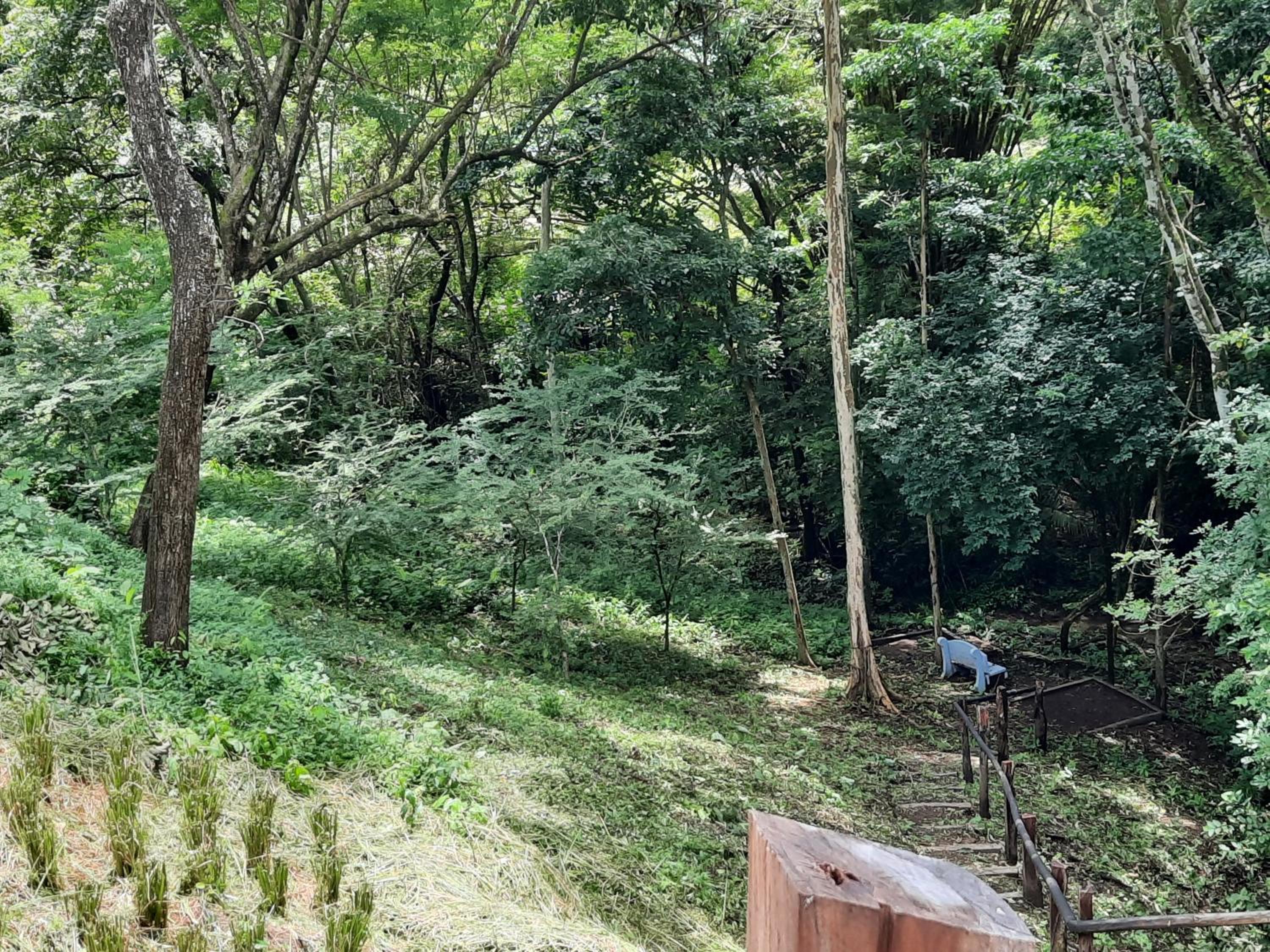 Eco-Turismo Guayacanes