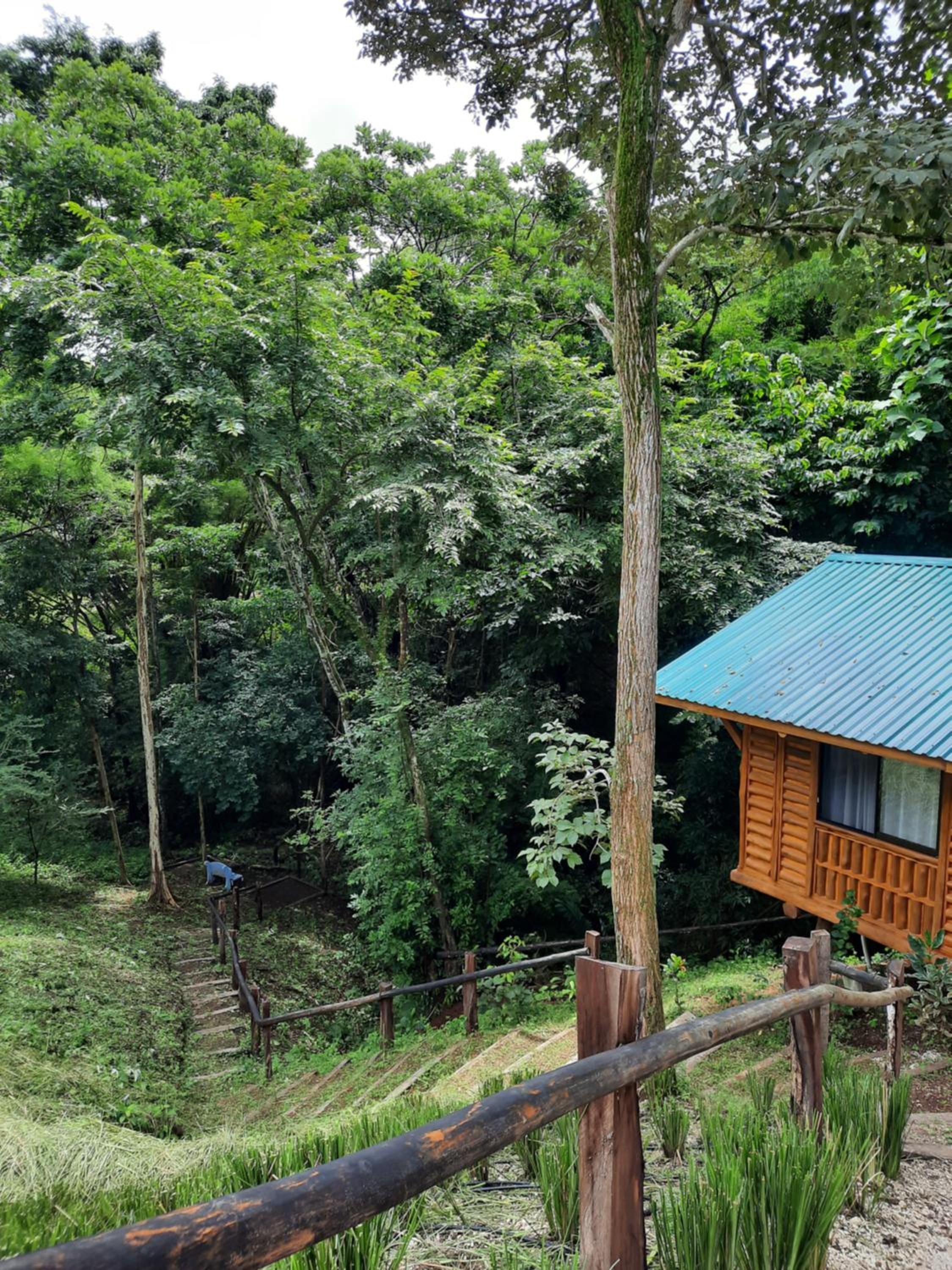 Eco-Turismo Guayacanes