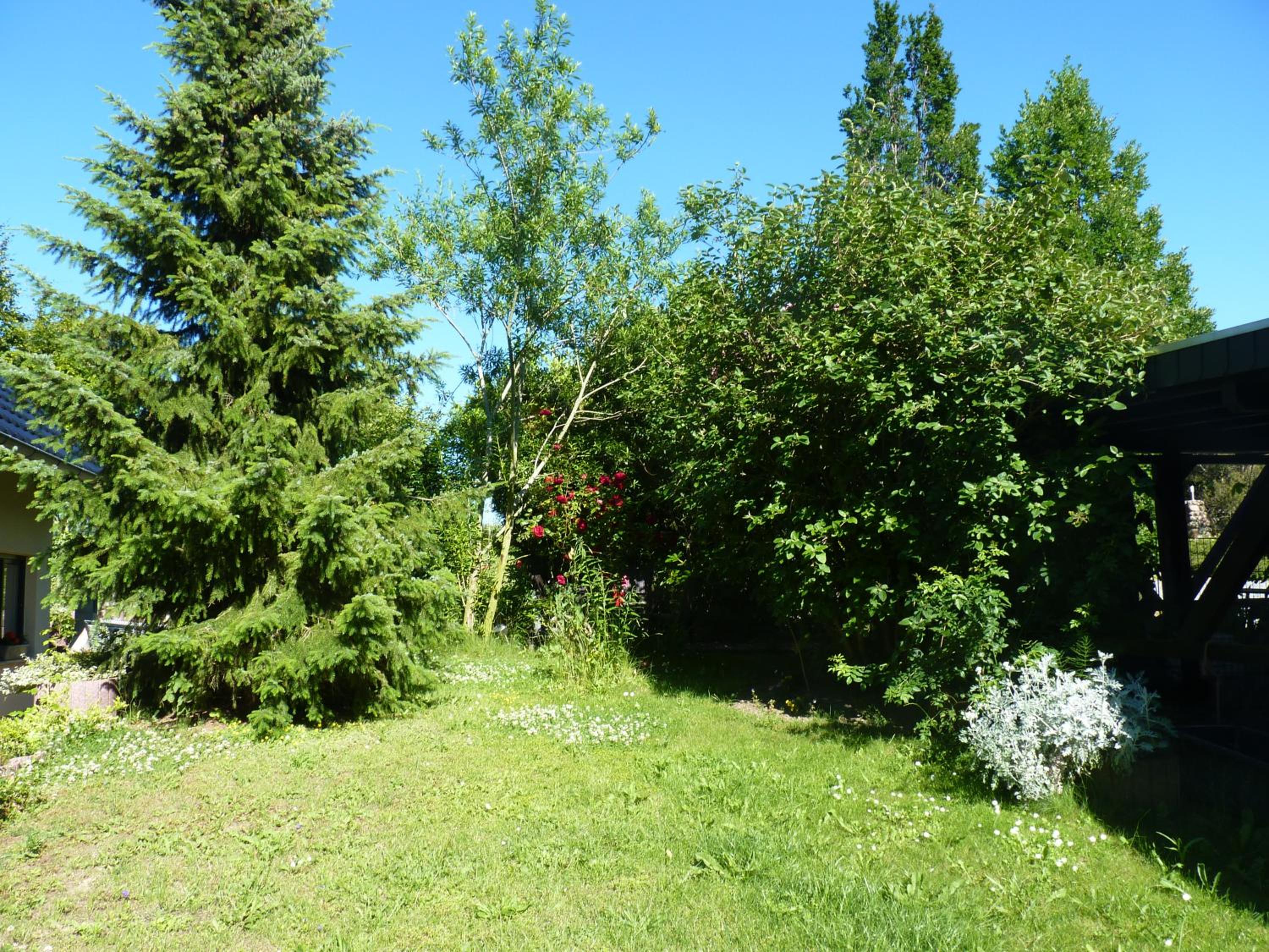 Fewo 1 Mittendrin