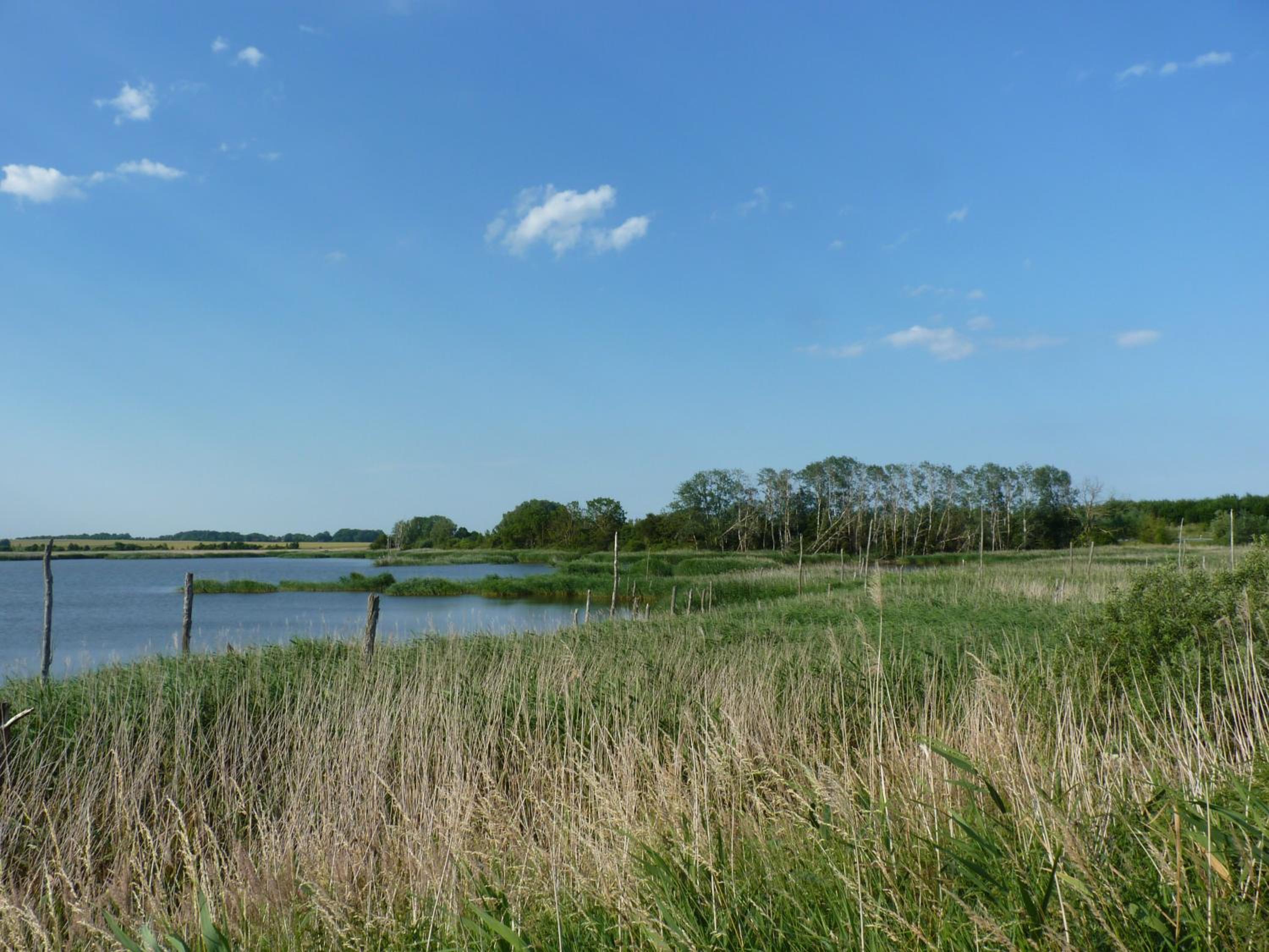 Fewo 1 Mittendrin