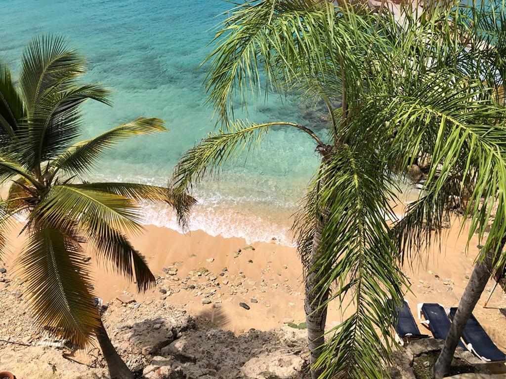 Oceanfront Barracuda at Den Laman