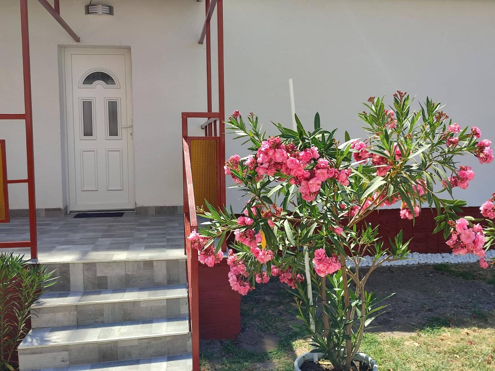Rákos-patak Family House Garden & Free Parking view 2
