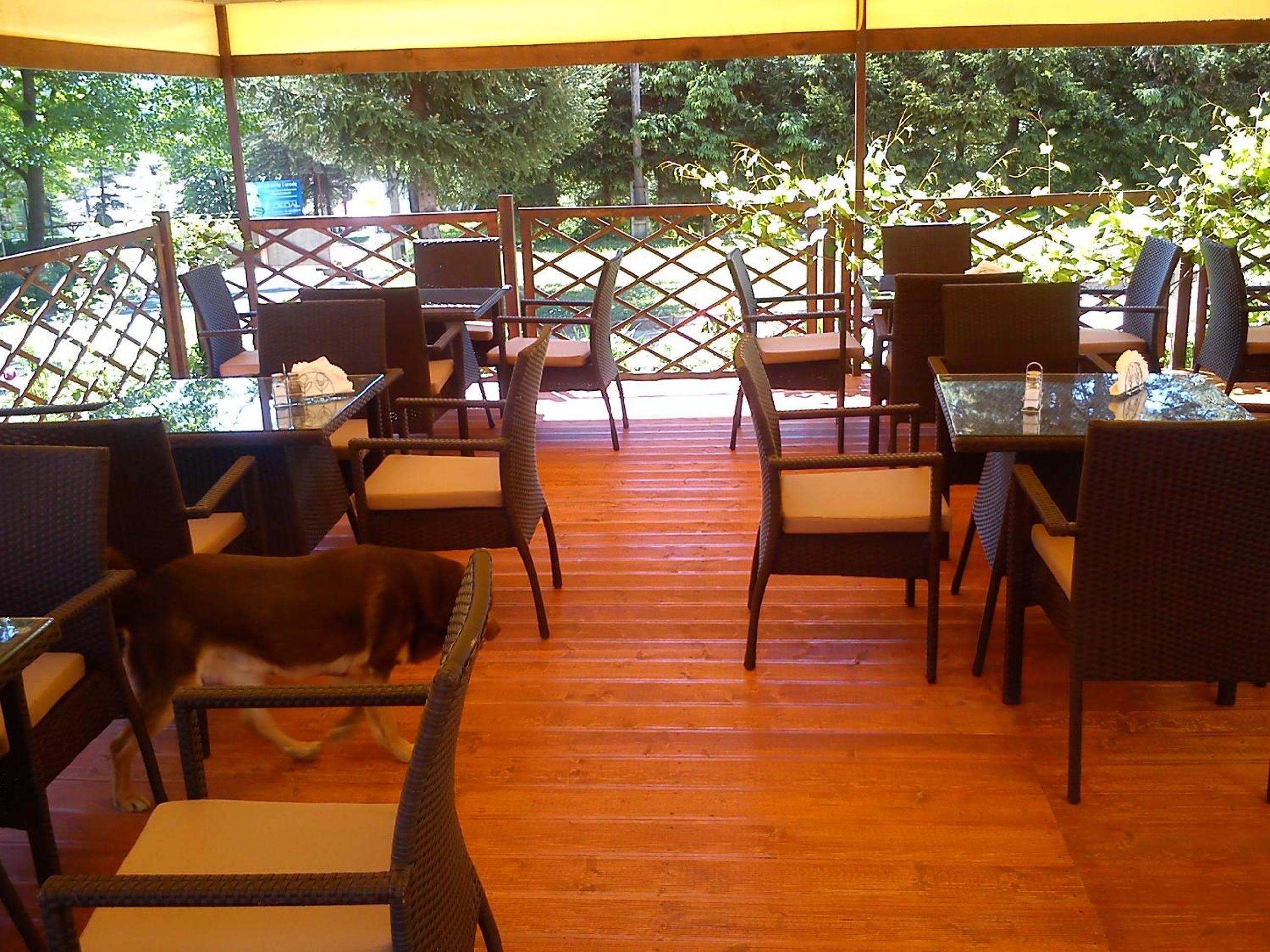 Photo 10