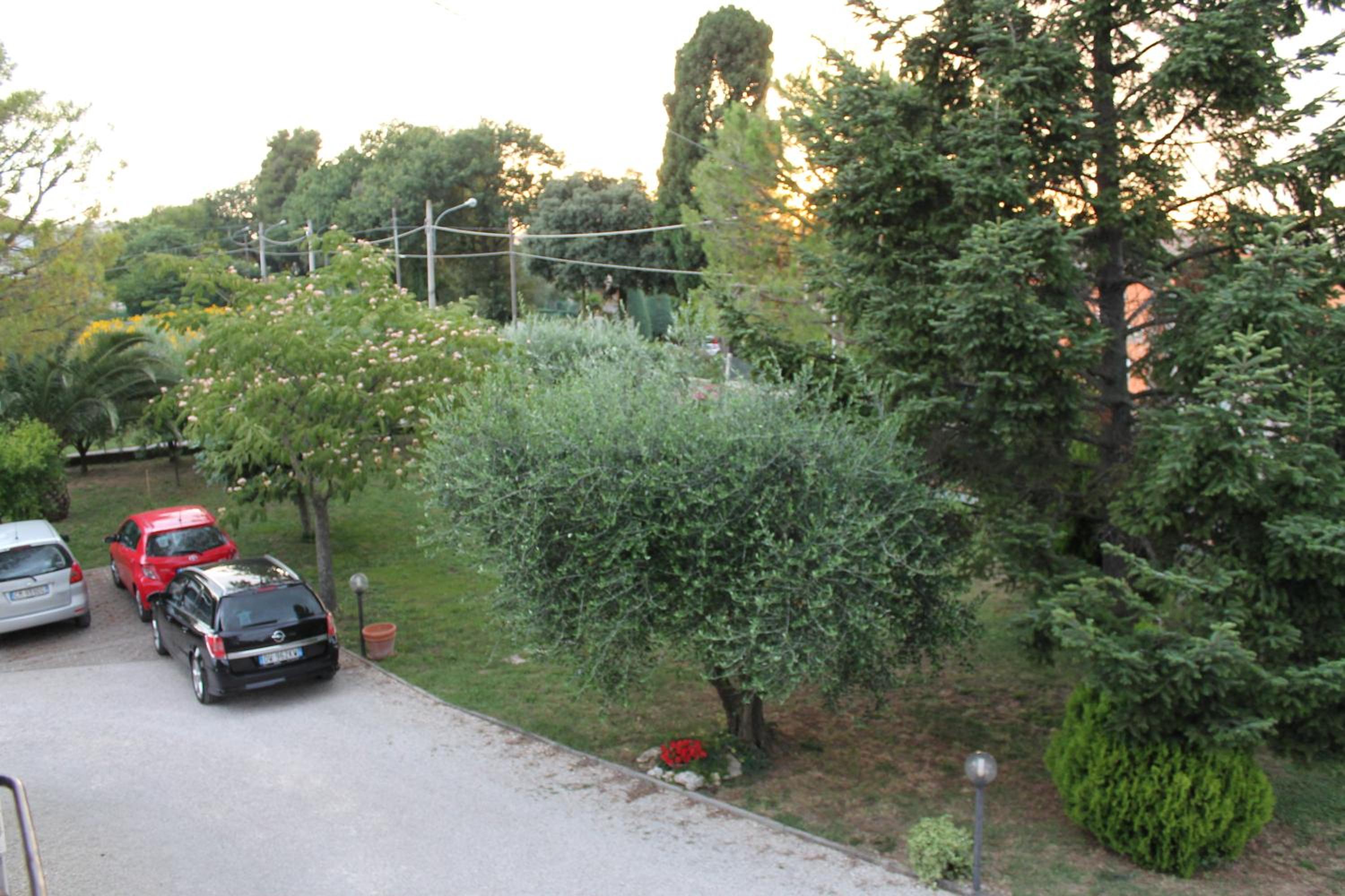 Photo 61