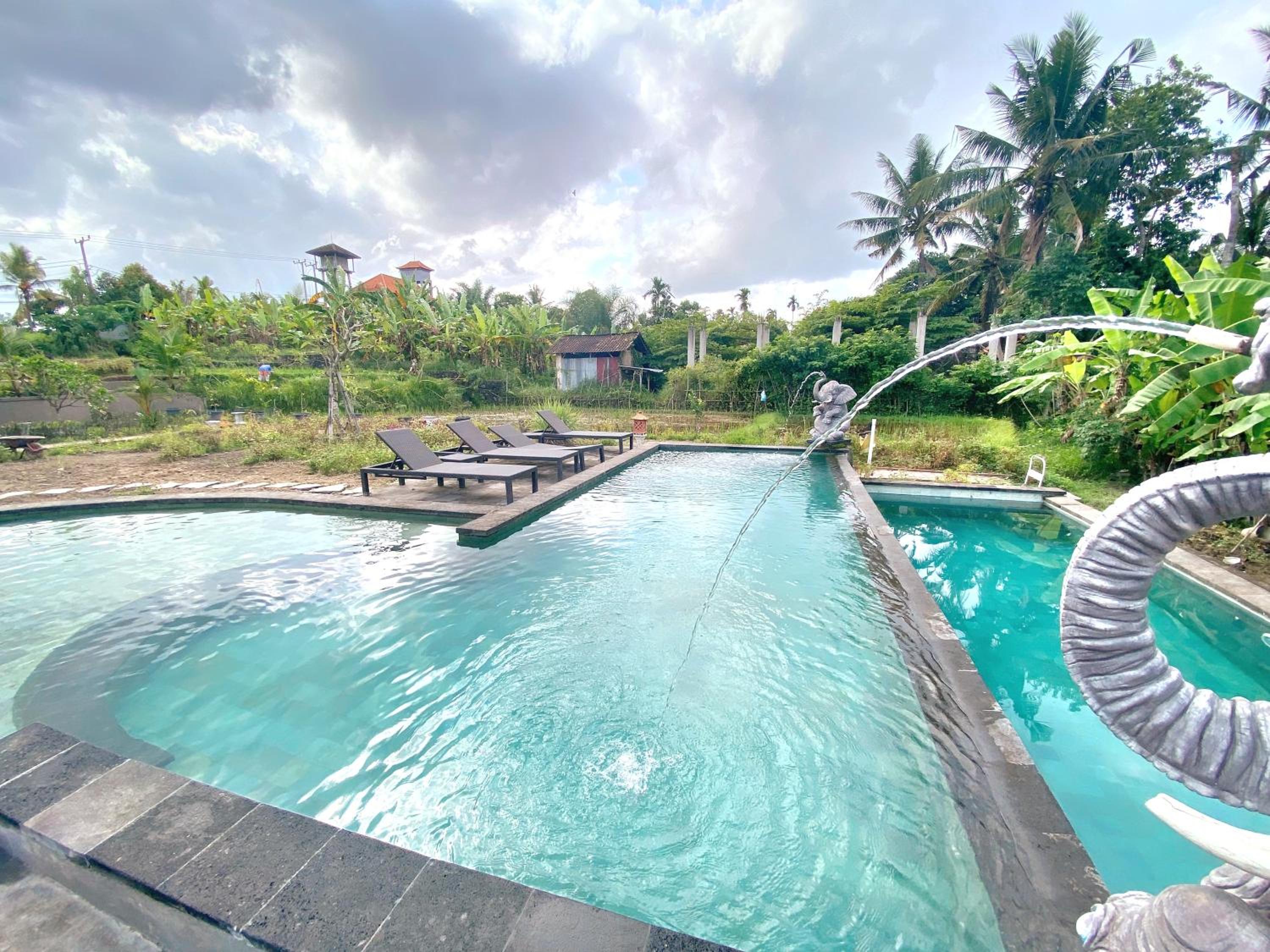 Ubud Rice Field House view 4